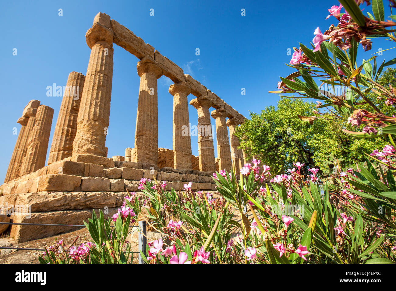 Il Tempio di Giunone, un tempio greco della città antica di Akragas si trova nella Valle dei Templi, UNESCO, Agrigento, Italia Foto Stock