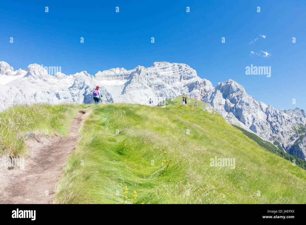 Gli escursionisti procedere sul cammino verso i picchi rocciosi, Doss del Sabion di Pinzolo, Dolomiti di Brenta, Trentino Alto Adige, Italia, Europa Foto Stock