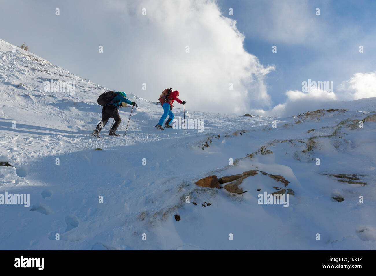 Gli escursionisti procedere nella valle innevata di Alpe Fora, Malenco Valley, provincia di Sondrio e della Valtellina, Lombardia, Italia, Europa Foto Stock