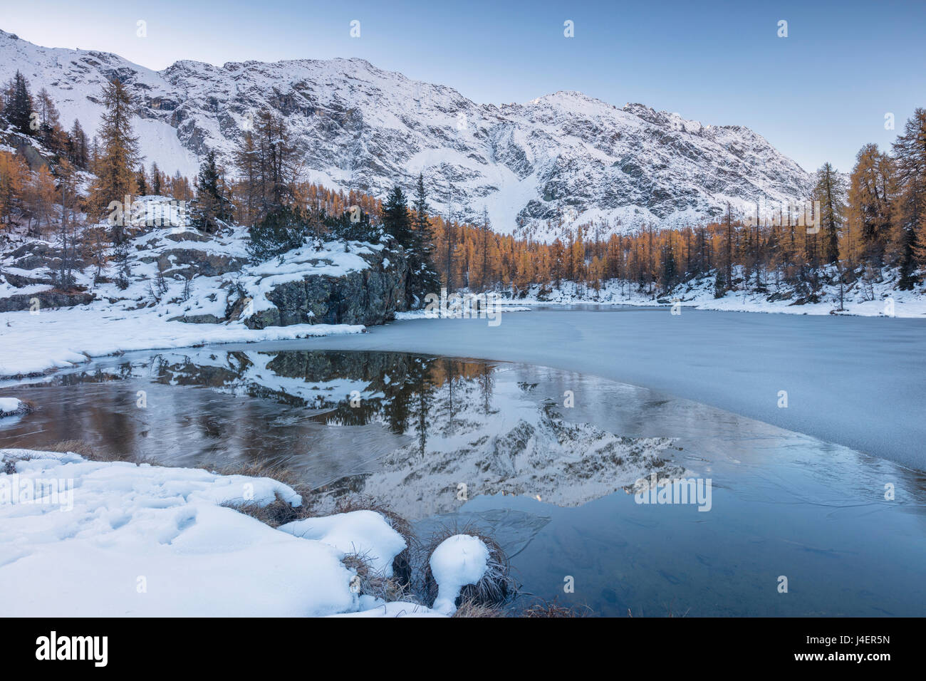 Le cime innevate sono riflesse nel lago ghiacciato Mufule, Malenco Valley, provincia di Sondrio e della Valtellina, Lombardia, Italia Foto Stock