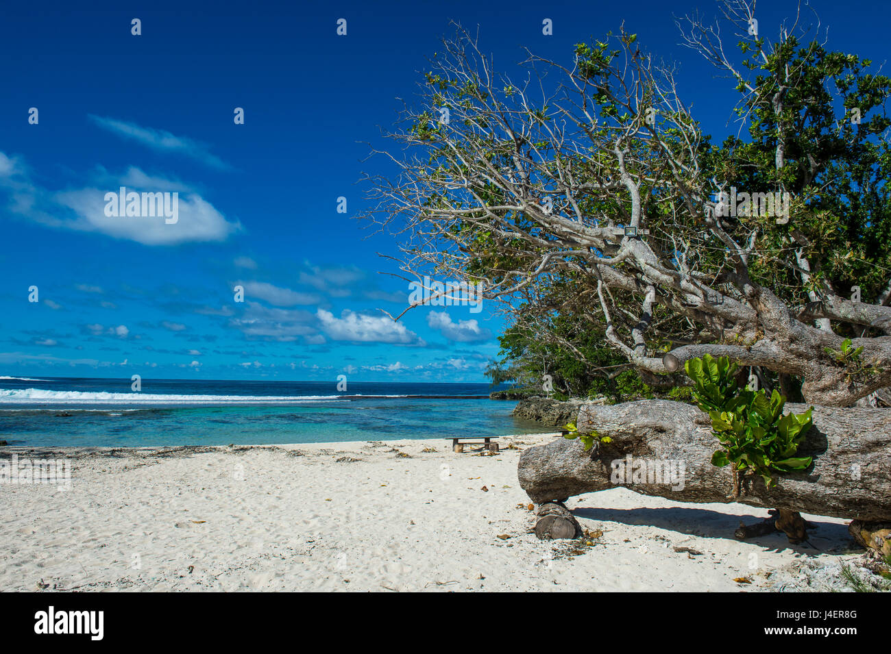 Spiaggia di sabbia bianca sulla costa nord di Efate, Vanuatu, Pacific Foto Stock