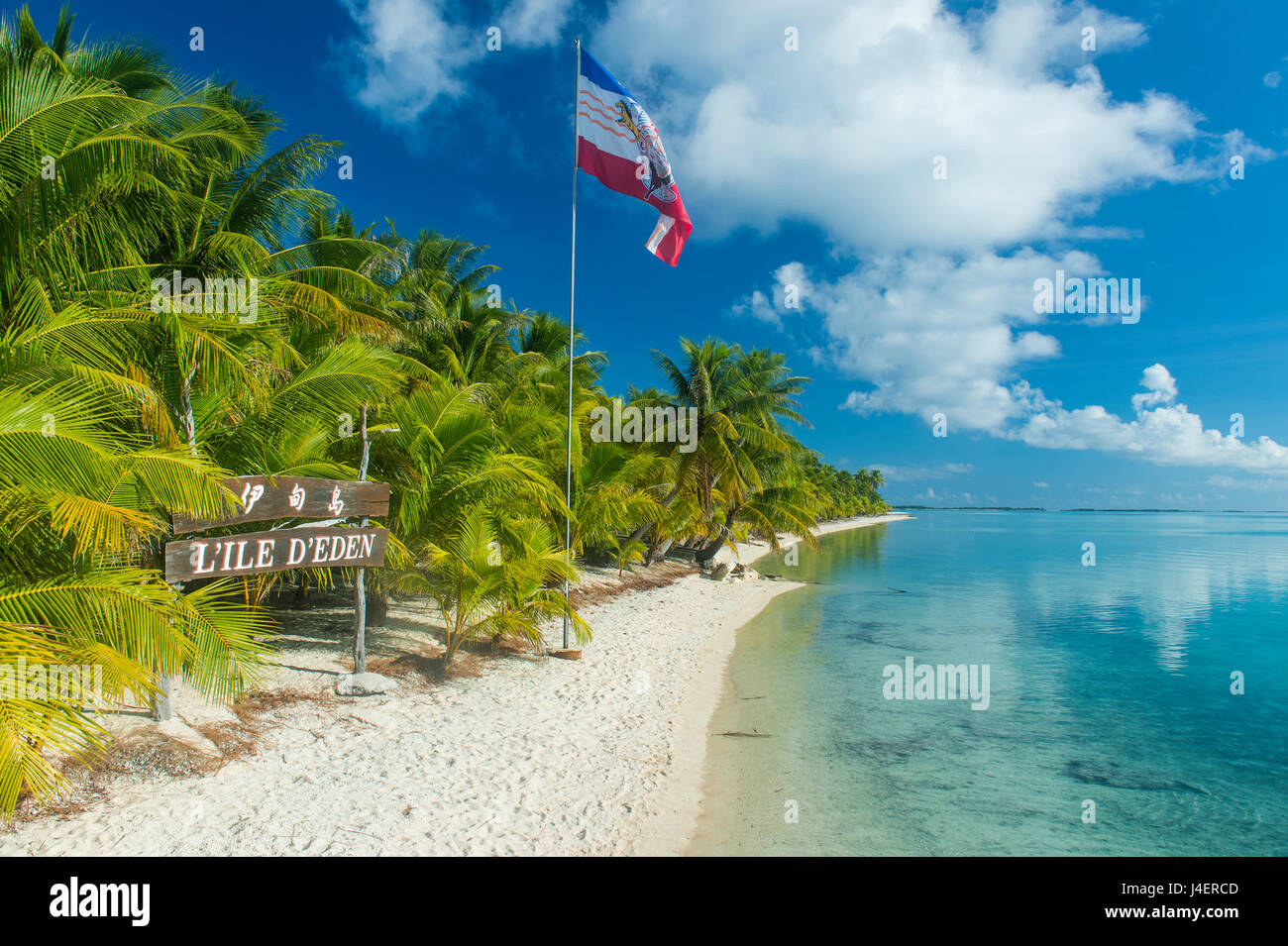 Bella da palme spiaggia di sabbia bianca nelle acque turchesi di Tikehau, Tuamotus, Polinesia francese, Pacific Foto Stock