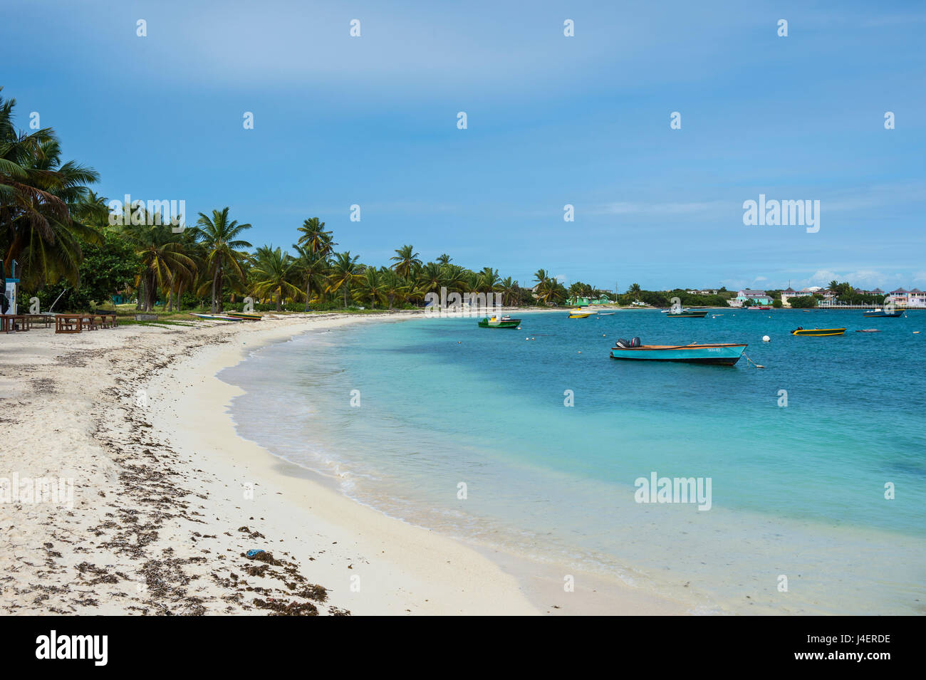 World class Shoal Bay East Beach, Anguilla britannico territorio oltreoceano, West Indies, dei Caraibi e America centrale Foto Stock