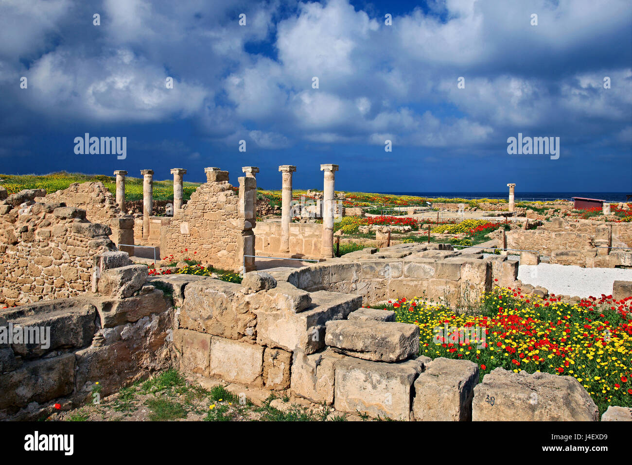 La 'casa di Teseo' presso il Parco Archeologico di Paphos (Patrimonio Mondiale dell'UNESCO) Cipro. Foto Stock