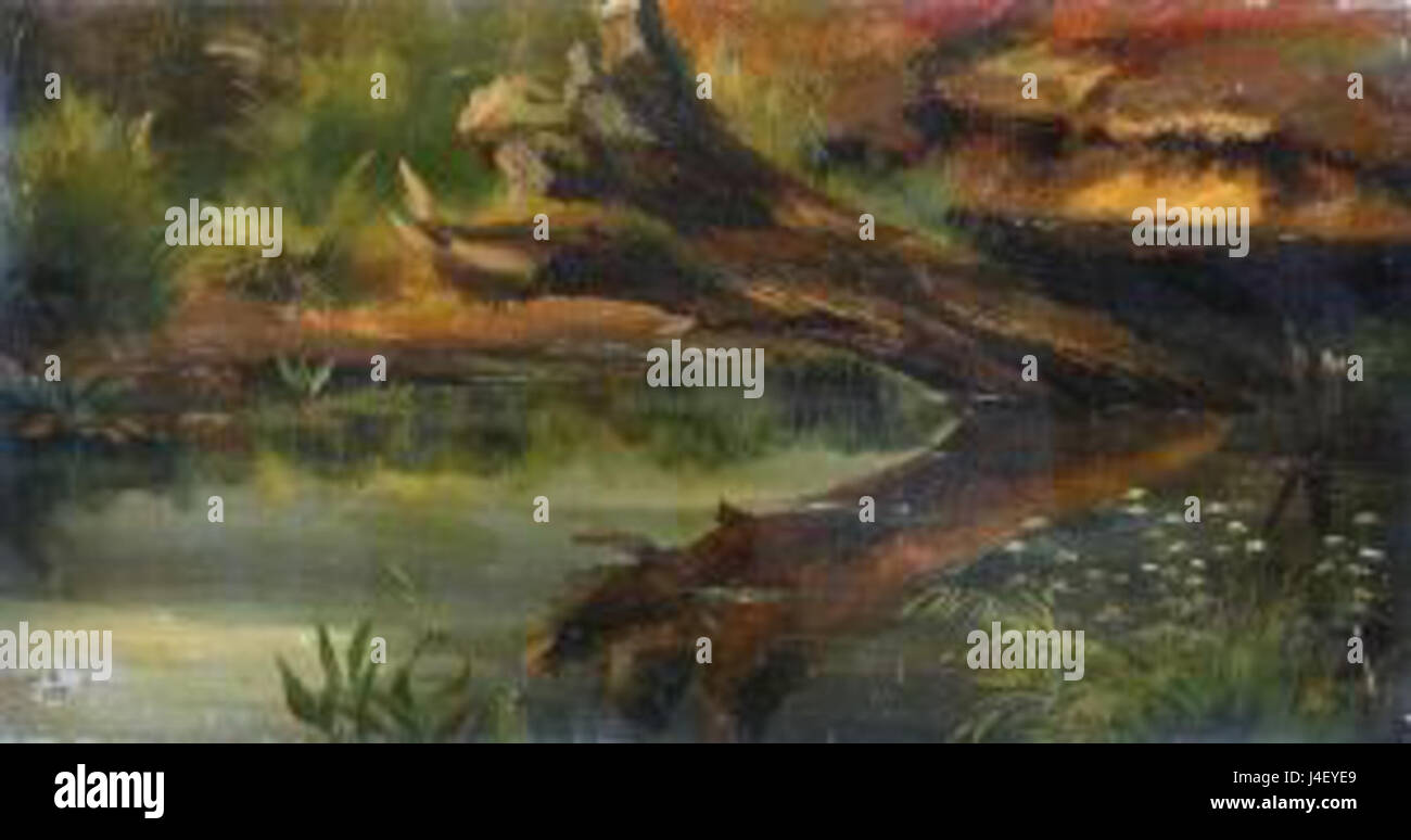 La rappresentazione dello Spreewald di Eduard Grieben mostra un tronco di albero morto riflesso nell'acqua. L'immagine cattura la bellezza naturale e serena della regione di Spreewald, una biosfera unica in Germania. Foto Stock
