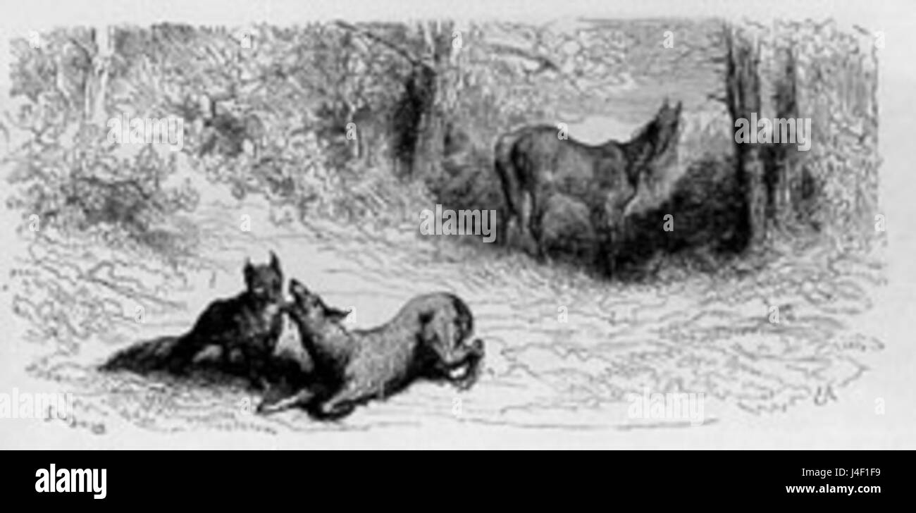 "Le renard, le Loup et le cheval" significa "la volpe, il lupo e il cavallo". Questa favola francese esplora temi della natura, della sopravvivenza e delle relazioni tra gli animali, tipici delle tradizioni letterarie del XVII secolo in Francia. Foto Stock