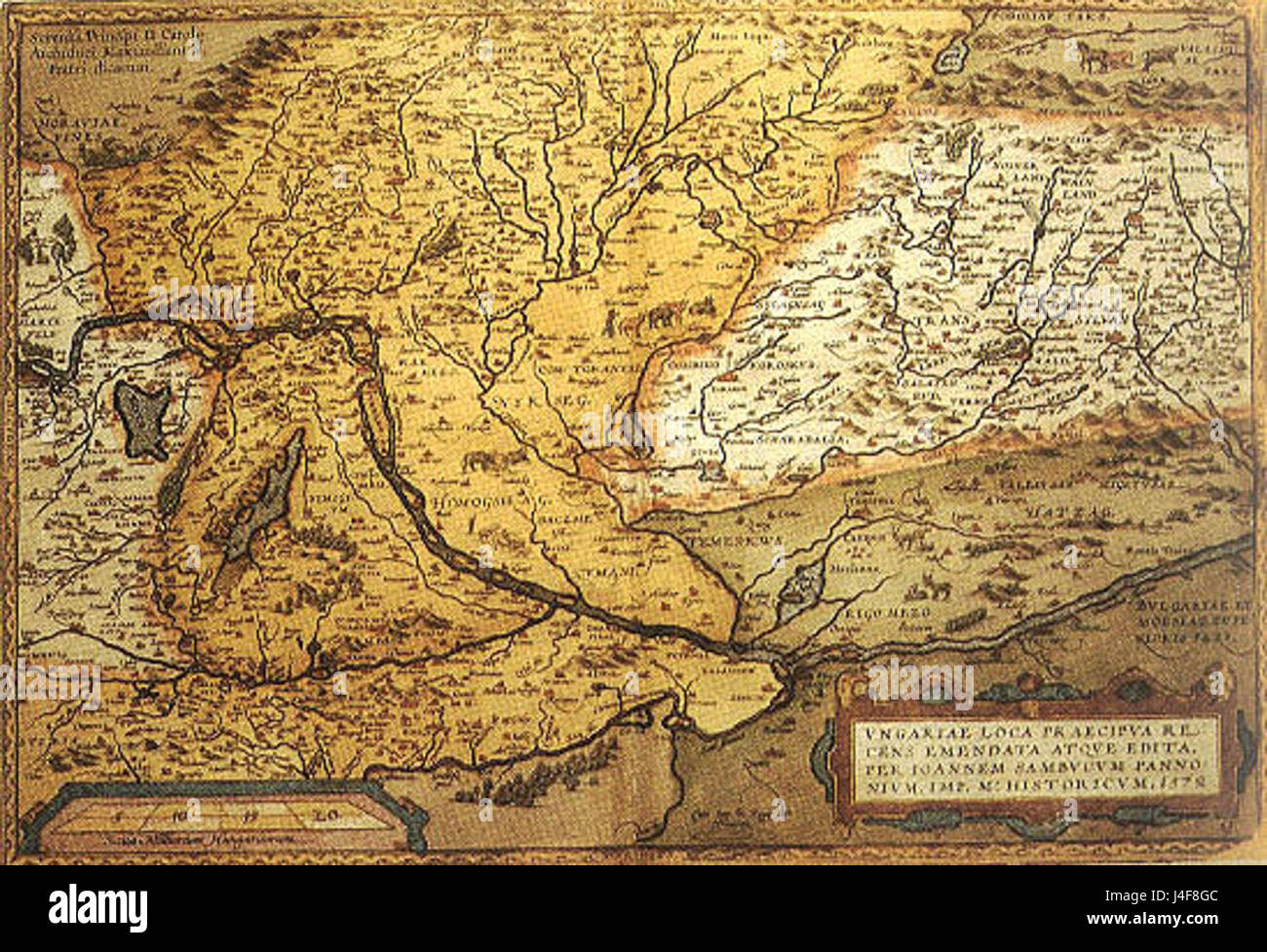 Sambucus Mappa di Ungheria 1578 Foto Stock