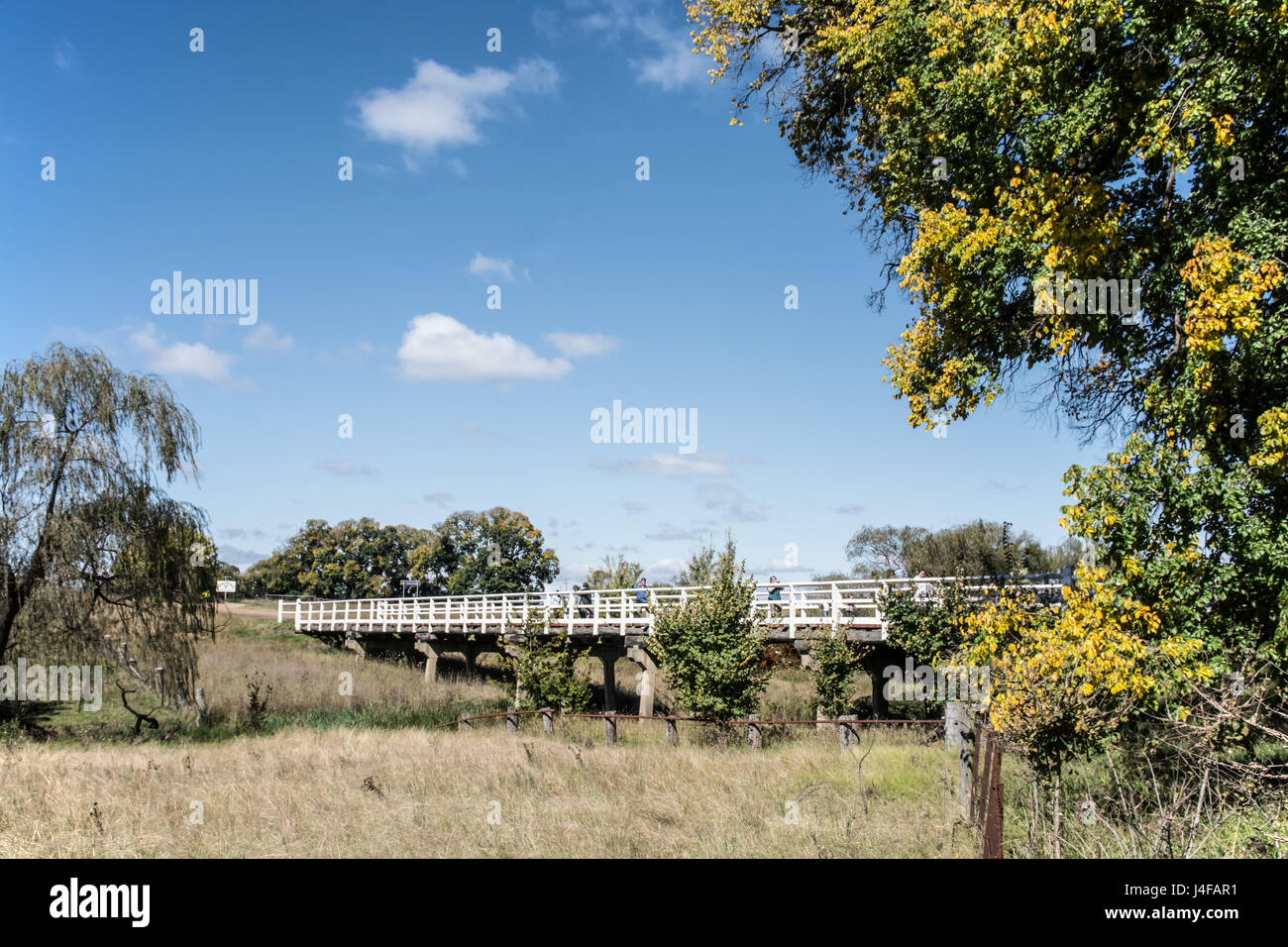 Munsies ponte su acque di Salisbury,gostwyck nr uralla nsw Australia. Foto Stock