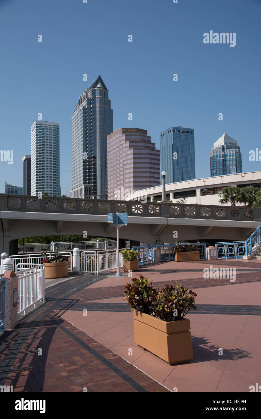 Il grattacielo di edifici di downtown Tampa Florida USA e la Tampa Riverwalk. Maggio 2017. Foto Stock