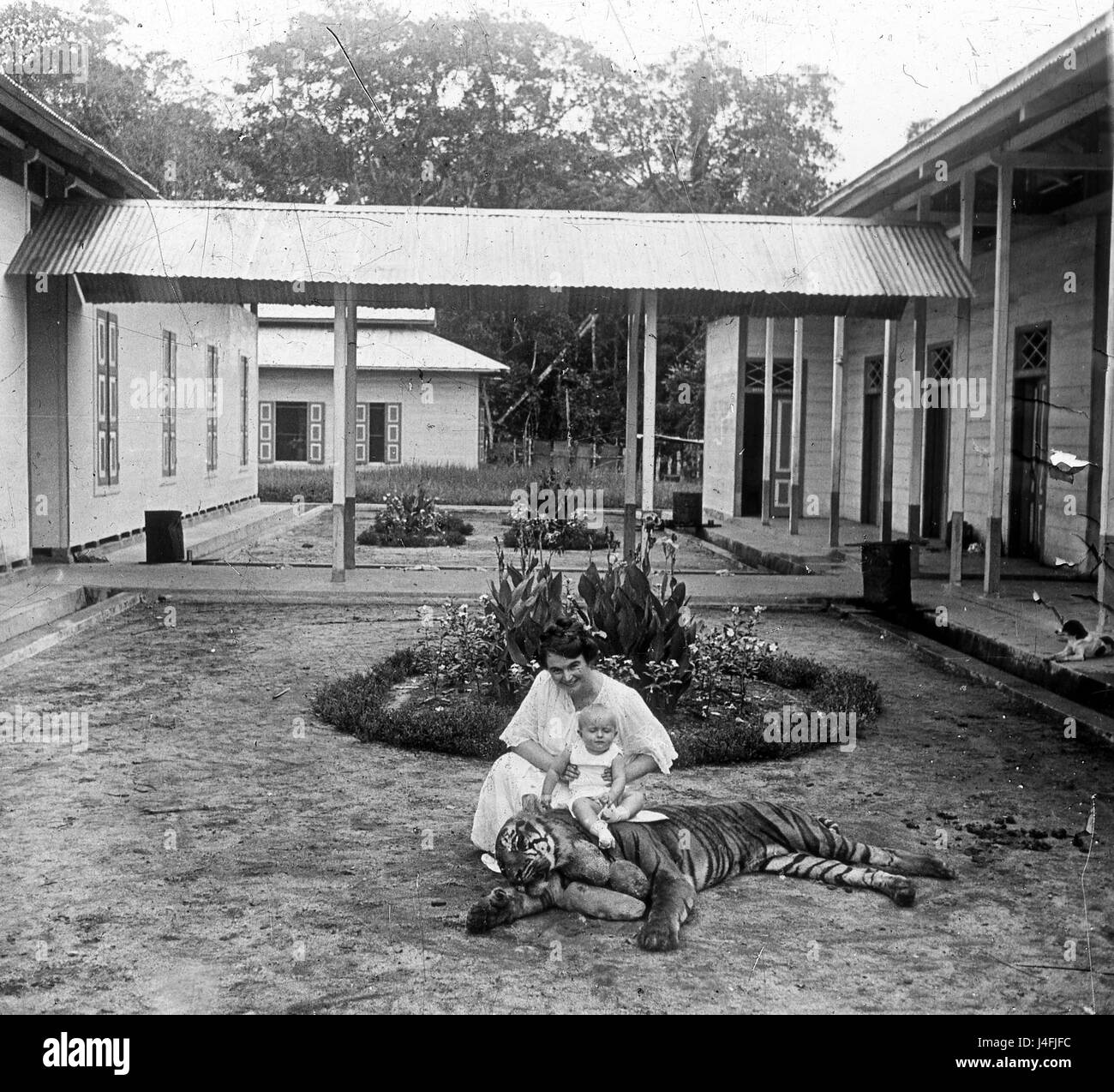 Il tedesco la madre e il bambino con la tigre in vacanza con la famiglia in Surabaya, Java, Indonesia nel 1914 Foto Stock