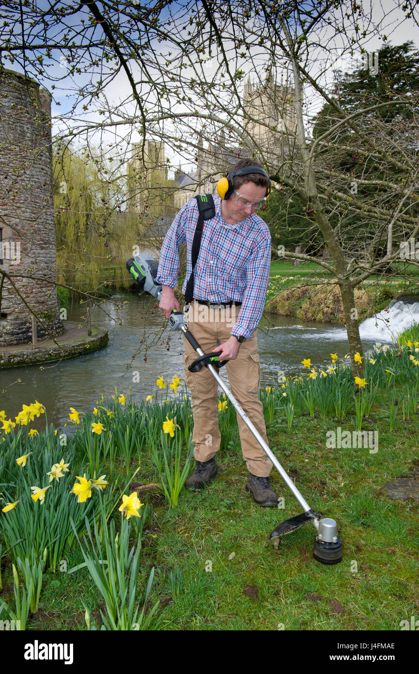 James cross, il capo giardiniere il taglio dell'erba nel palazzo del vescovo della Cattedrale di Wells (edificio in background) Foto Stock