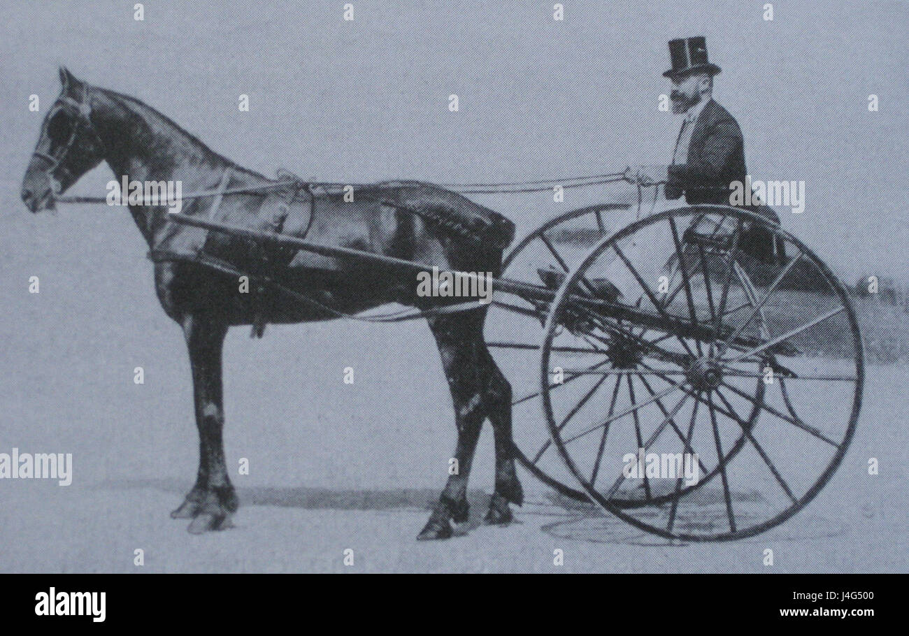 Sulky 1873 Foto Stock