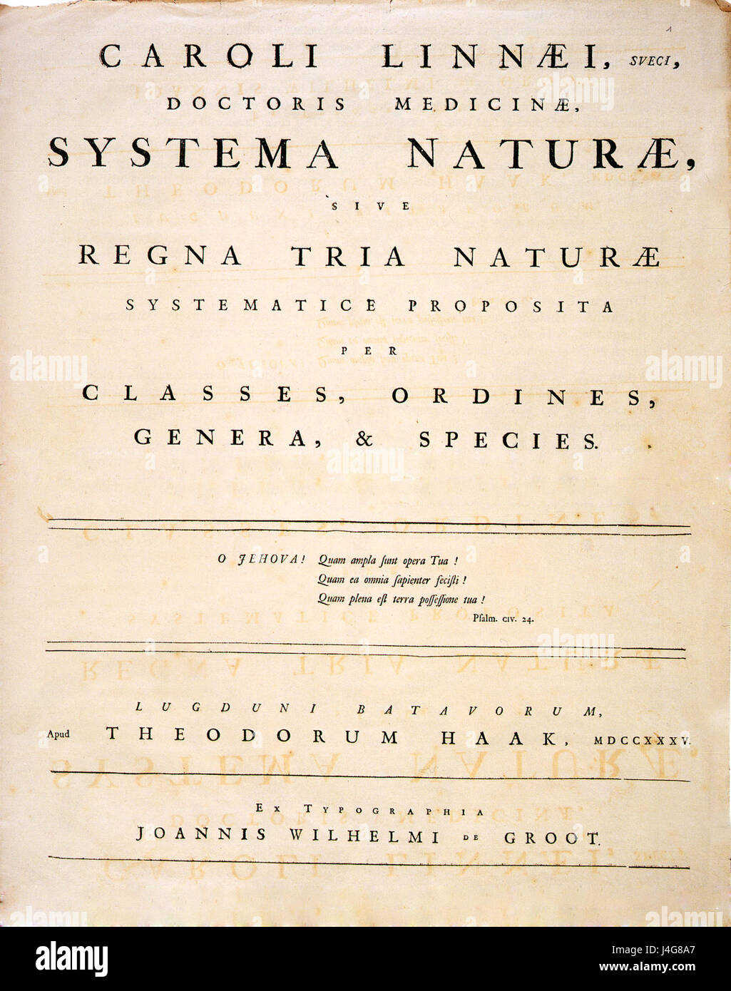 *Systema Naturae* di Carl Linnaeus, pubblicato per la prima volta nel 1735, è un'opera rivoluzionaria nel campo della tassonomia. Linneo introdusse una classificazione sistematica di piante e animali, ponendo le basi per la moderna classificazione biologica. Rimane un testo chiave nella storia della biologia. Foto Stock *Systema Naturae* di Carl Linnaeus, pubblicato per la prima volta nel 1735, è un'opera rivoluzionaria nel campo della tassonomia. Linneo introdusse una classificazione sistematica di piante e animali, ponendo le basi per la moderna classificazione biologica. Rimane un testo chiave nella storia della biologia. Foto Stock