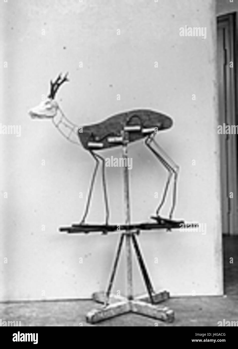 Questa immagine mostra un esemplare tassidermico, una figura animale conservata, spesso utilizzata per scopi educativi o espositivi. La tassidermia è un processo di conservazione della pelle e del corpo di un animale per la visualizzazione o lo studio. Foto Stock