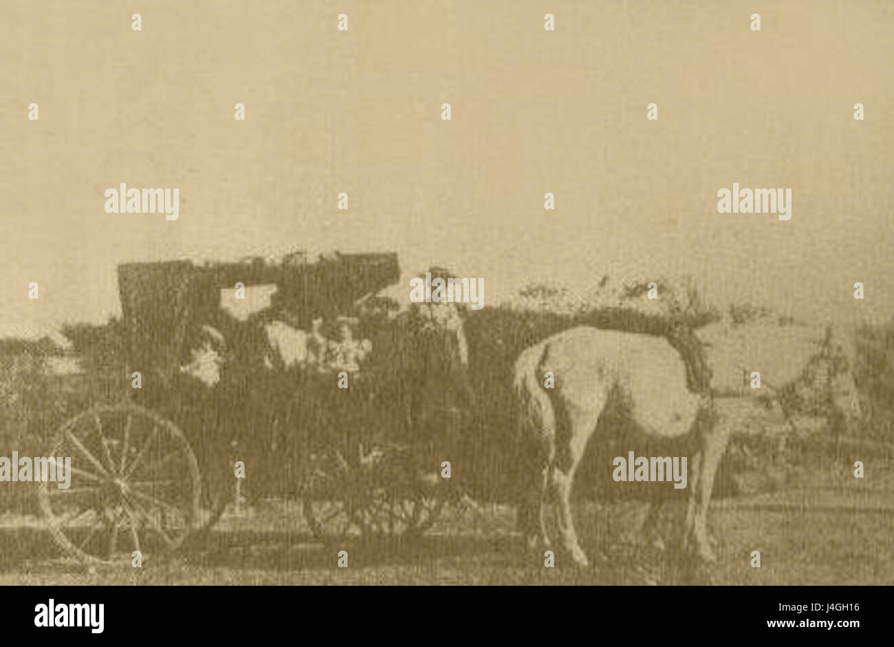 "Sepia14" si riferisce a un tipo di immagine o fotografia con tonalità seppia. I toni seppia sono un mezzo popolare utilizzato per creare effetti visivi vintage o storici, spesso impiegati nella fotografia e nelle stampe per dare un'atmosfera nostalgica o anziana. Foto Stock