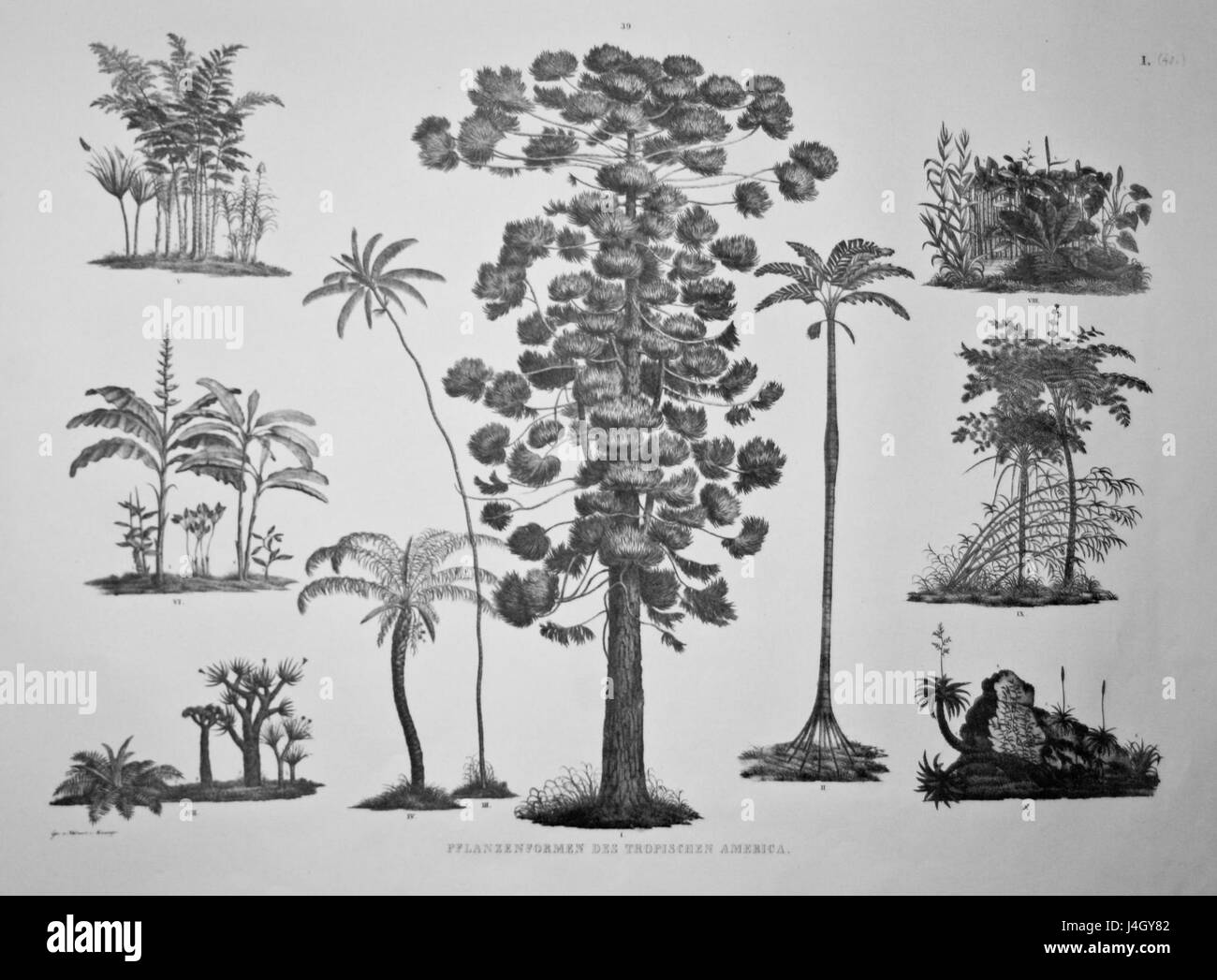 Spix Reiseatlas è un atlante di viaggi originale, che offre probabilmente dettagli geografici e mappe relative a percorsi di viaggio, luoghi ed esplorazione. Foto Stock