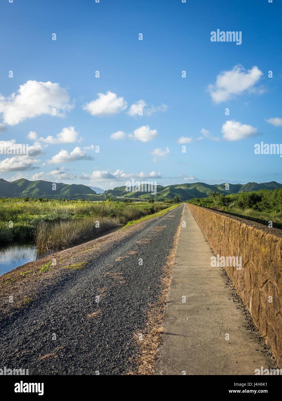 Un lungo percorso che si estende per quanto l'occhio può vedere, in lussureggianti montagne verdi sotto i cieli blu su una bella giornata di sole nelle Hawaii. Foto Stock