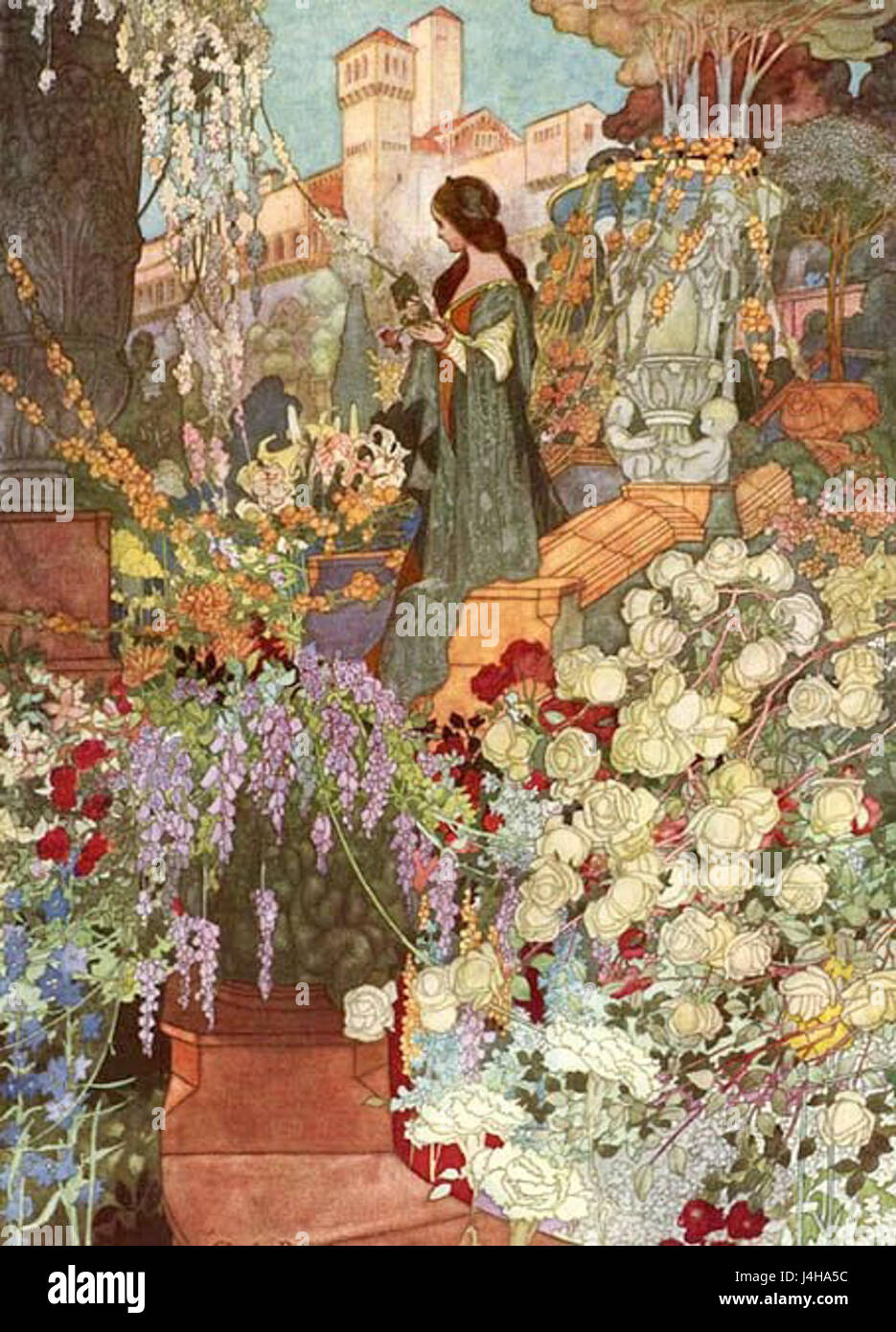 Impianto sensibili immagine 1 Foto Stock