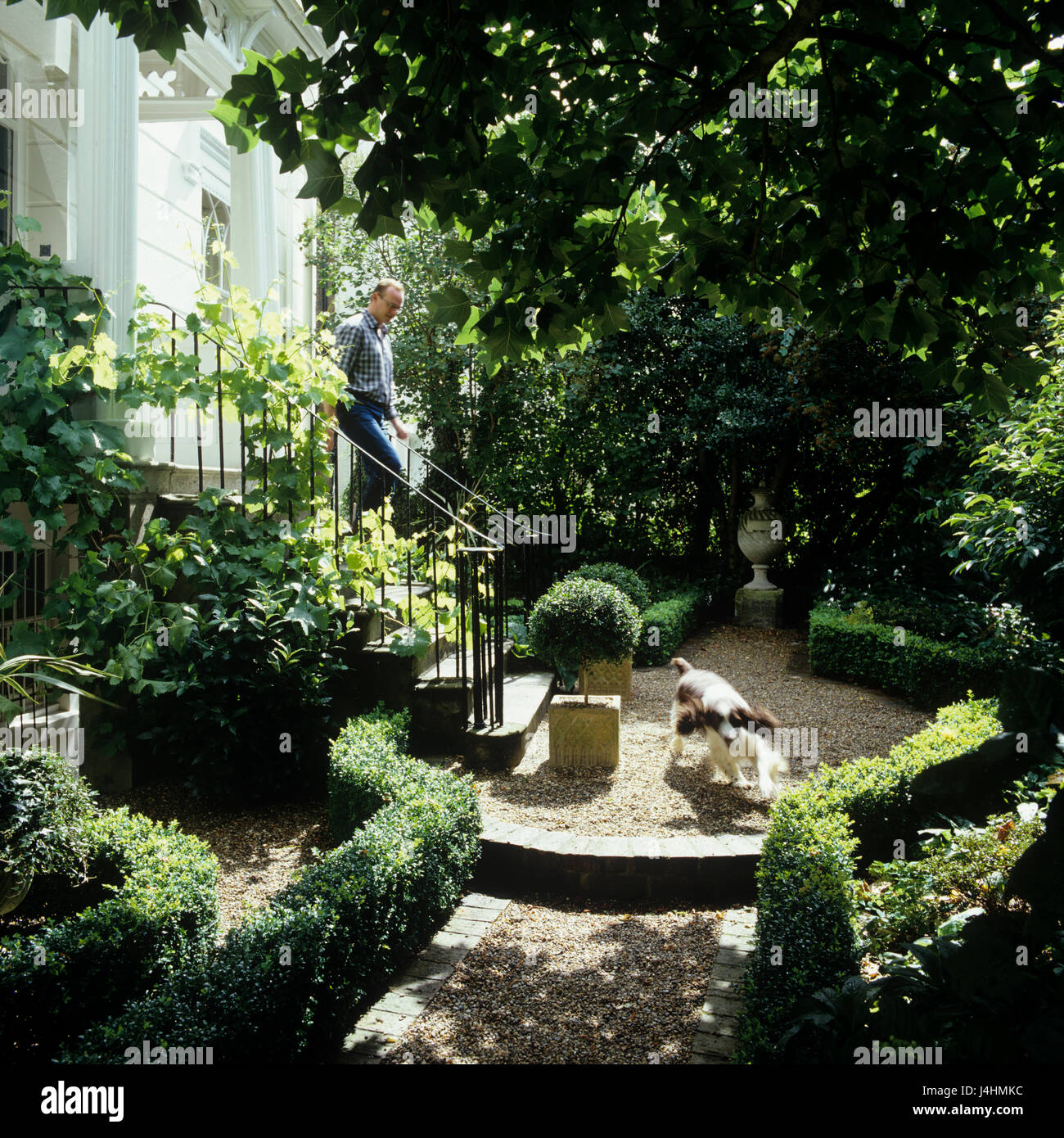 Uomo e cane nel giardino sul retro Foto Stock