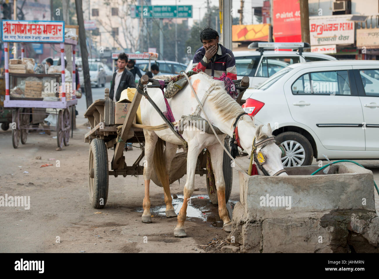 Un uomo si siede sulla cima di una carrozza trainata da cavalli mentre il suo cavallo bevande a partire da una piccola fontana sulle strade di Agra, India. Foto Stock