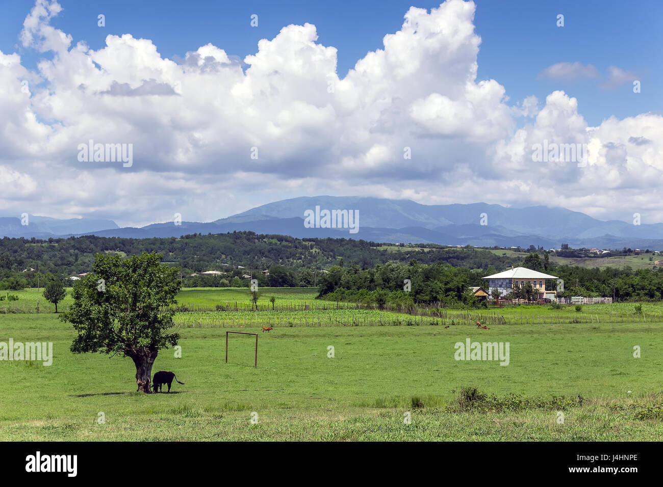 Bella nuvole sopra la fertile valle di fronte alla cresta su una soleggiata giornata estiva, alle pendici del crinale caucasico, Kuhi, Georgia Foto Stock