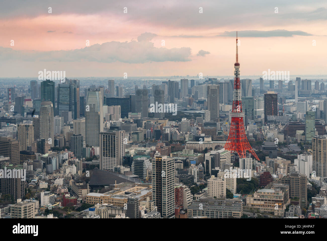 Tokyo vista città con la Torre di Tokyo di notte in Giappone Foto Stock