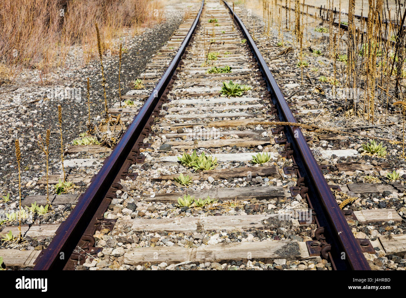 I binari della ferrovia. La terra solo attraverso il fiume Arkansas dal centro cittadino di salida, Colorado, è ora vacante e sterile, di proprietà della Union Pacific Railroad Foto Stock