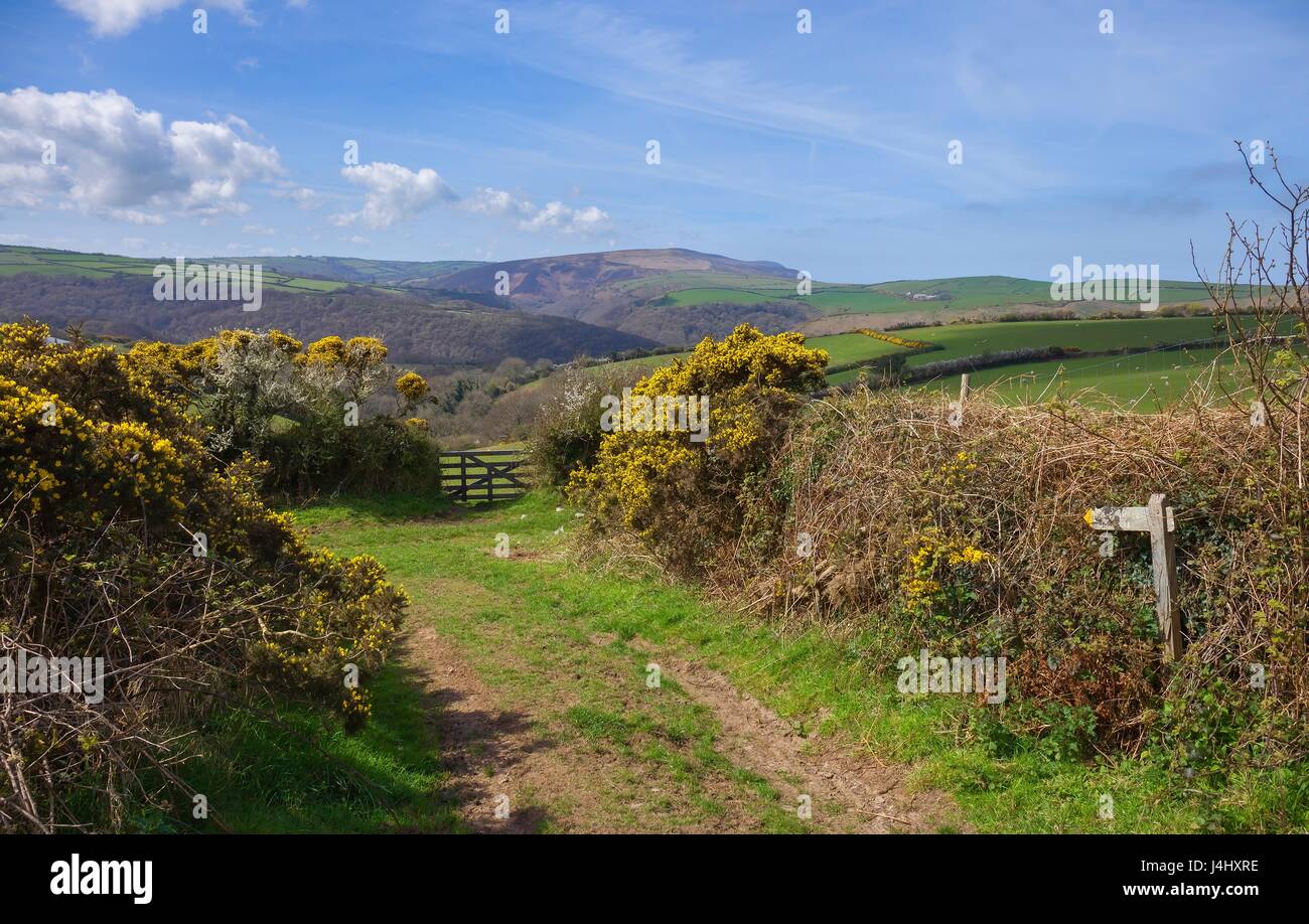 North Devon paesaggio, Inghilterra Foto Stock