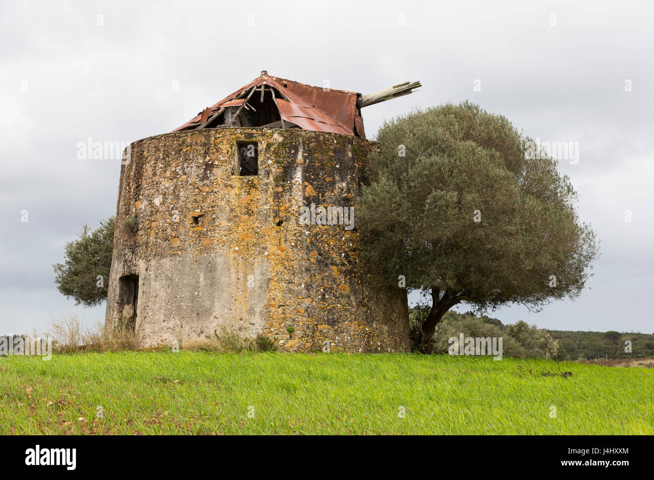 Il mulino a vento di abbandonati e olivo, Algarve, PORTOGALLO Foto Stock