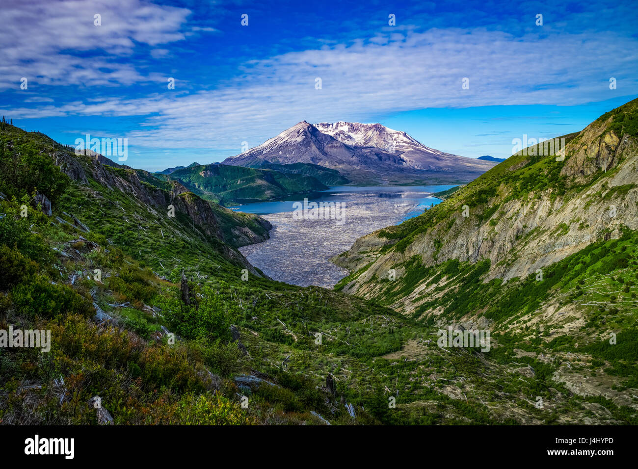 Spirit Lake e tronchi galleggianti sul lato nord del Monte Sant Helens Foto Stock