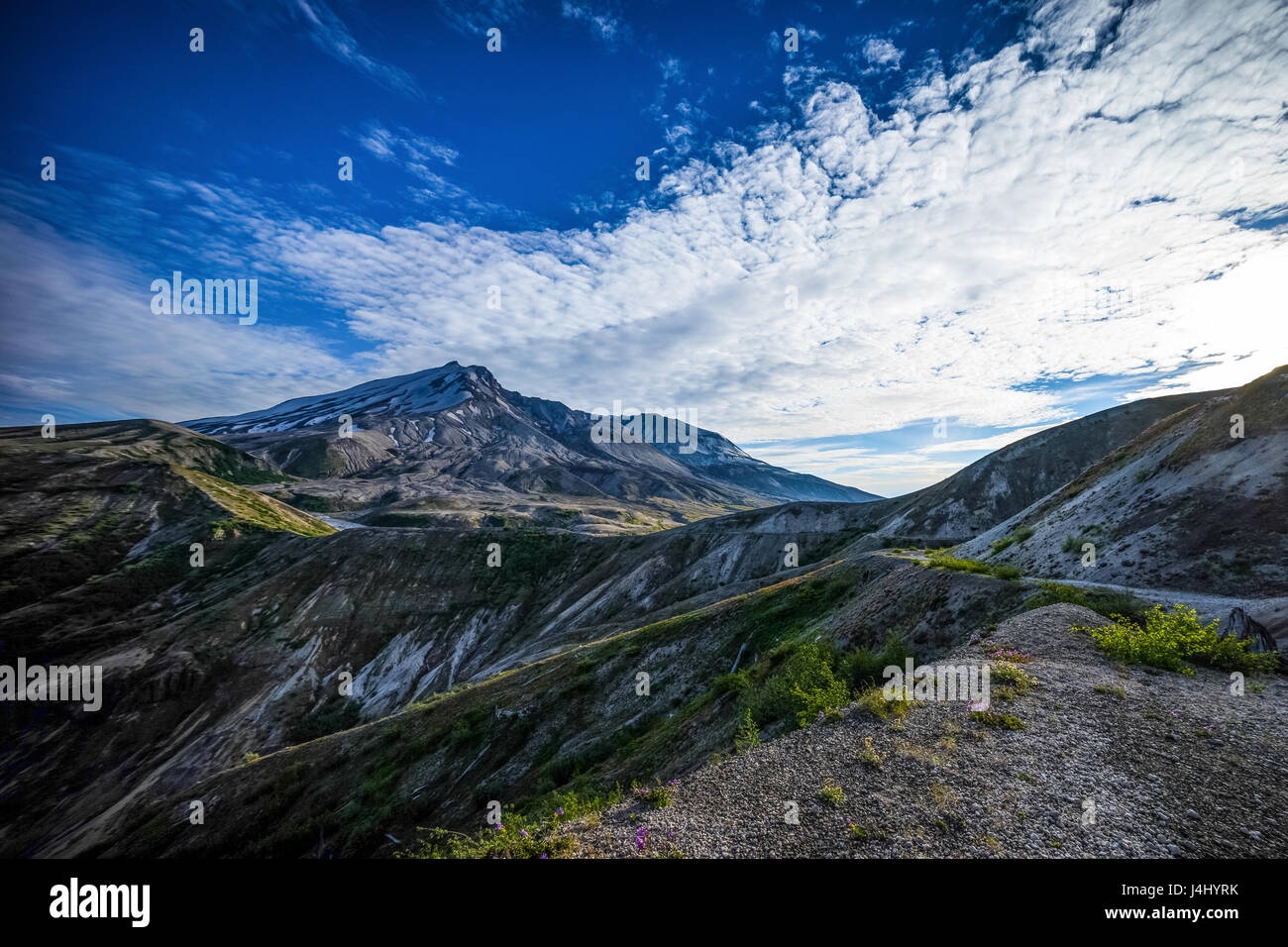 Il Monte Sant Helens vulcano visto dal lato nord con blast paesaggio della zona Foto Stock