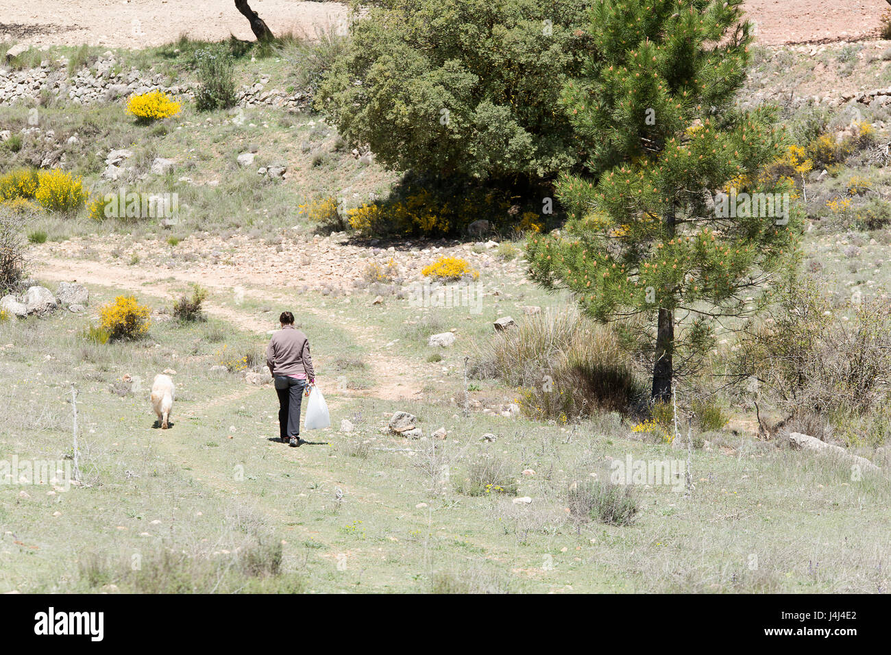 Donna escursionismo con il suo cane in Cañadas de Haches de Arriba, Bogarra provincia di Albacete in Spagna. Foto Stock