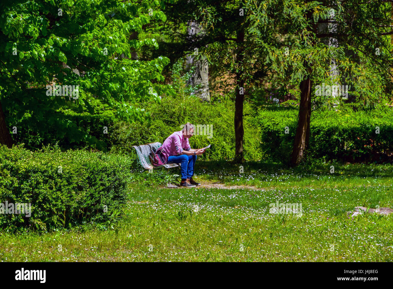 Uomo seduto nel verde parco la lettura di un libro Foto Stock