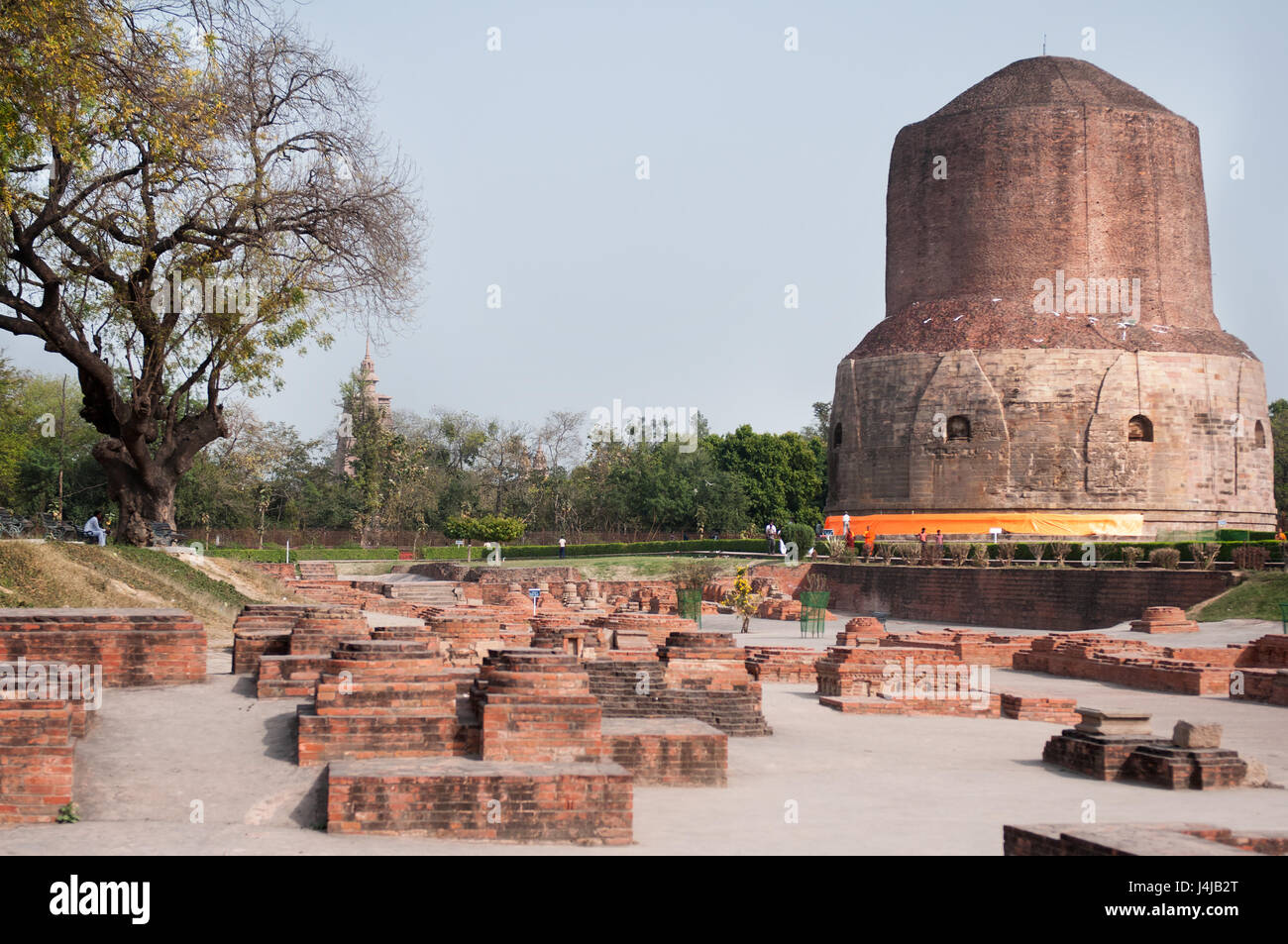 Enorme stupa marrone Sarnath, le rovine di pietra di color mattone, il sito del primo gli insegnamenti buddhisti del Buddha Shakyamuni, vicino a Varanasi (India). Foto Stock