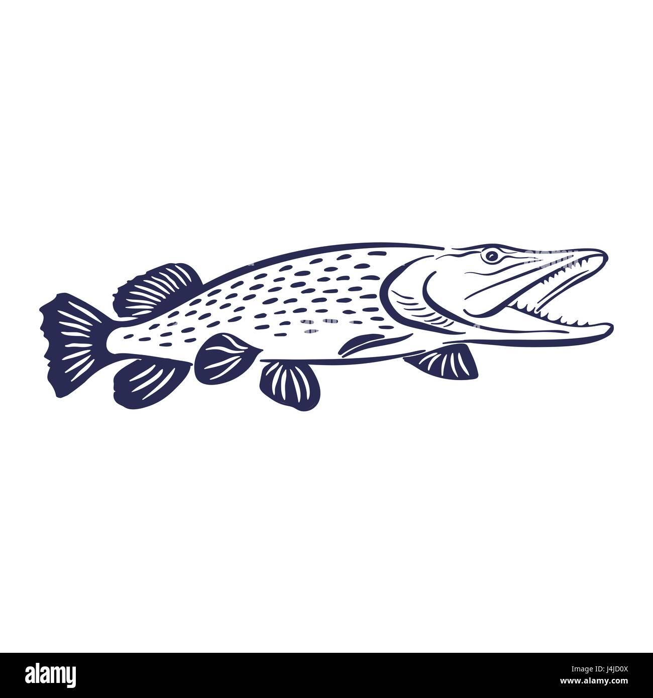 Pike illustrazione di pesce Illustrazione Vettoriale