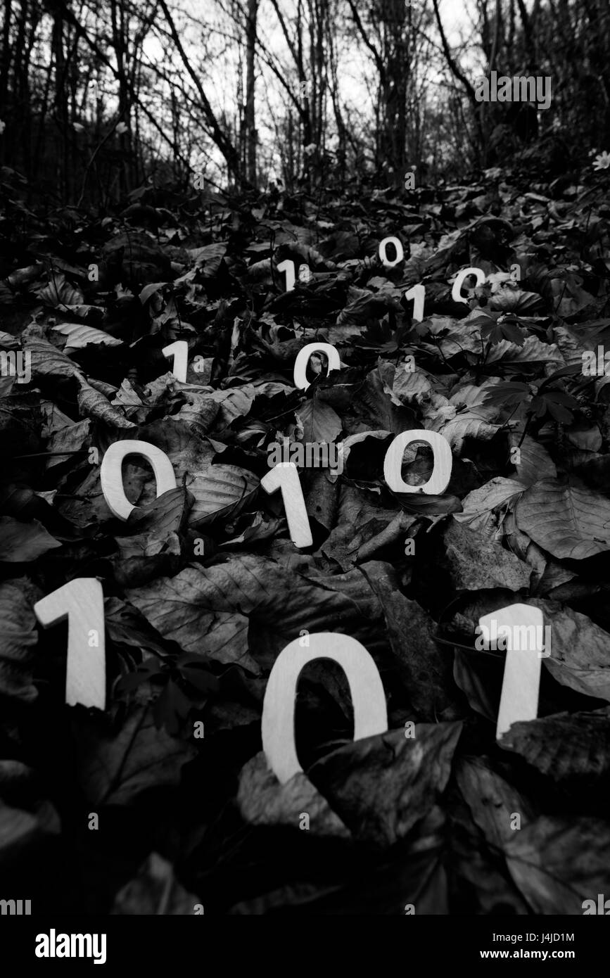 Numeri binari Foto Stock