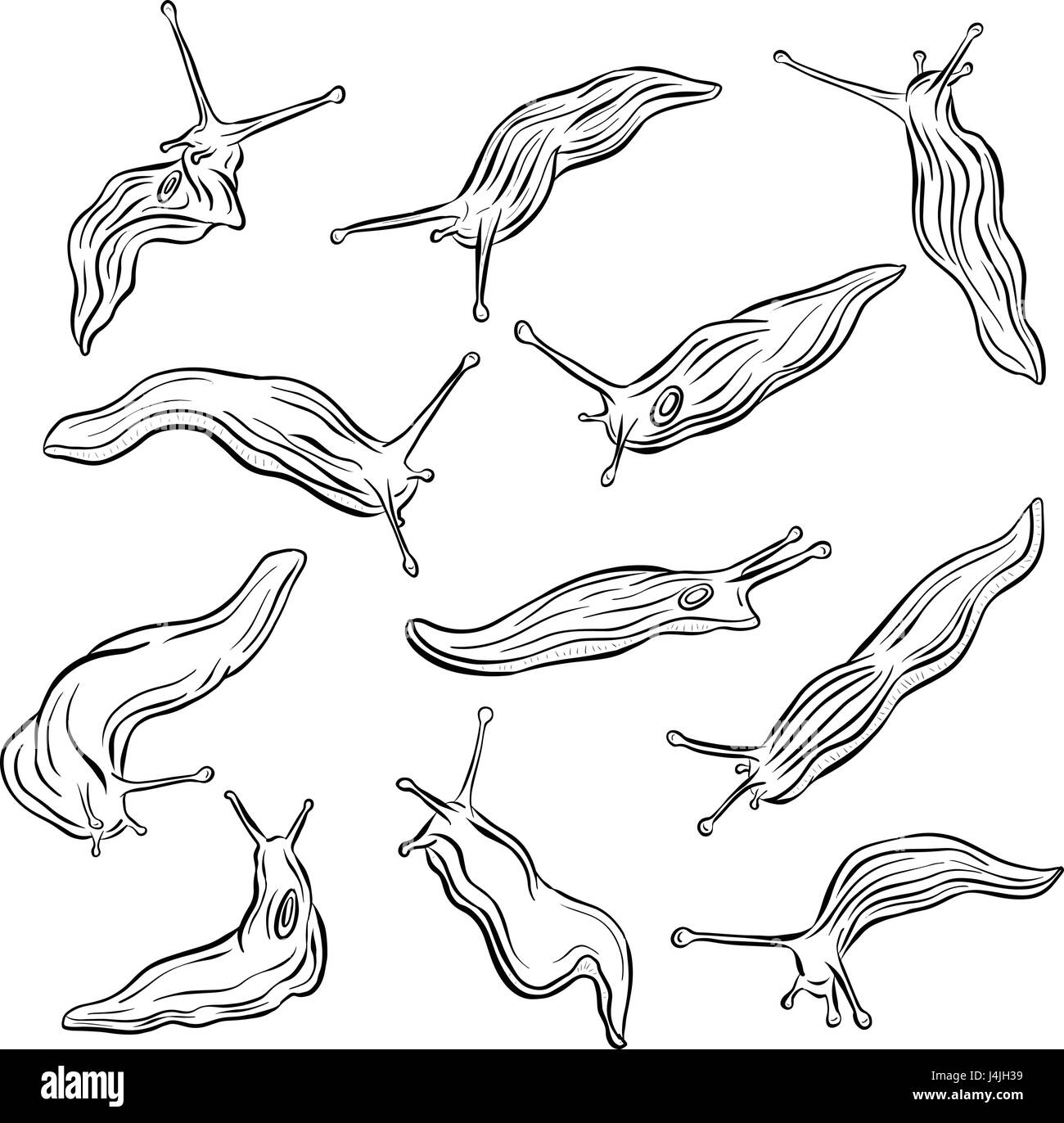 Collezione di arte di linea Slug Illustrazione Vettore Illustrazione Vettoriale