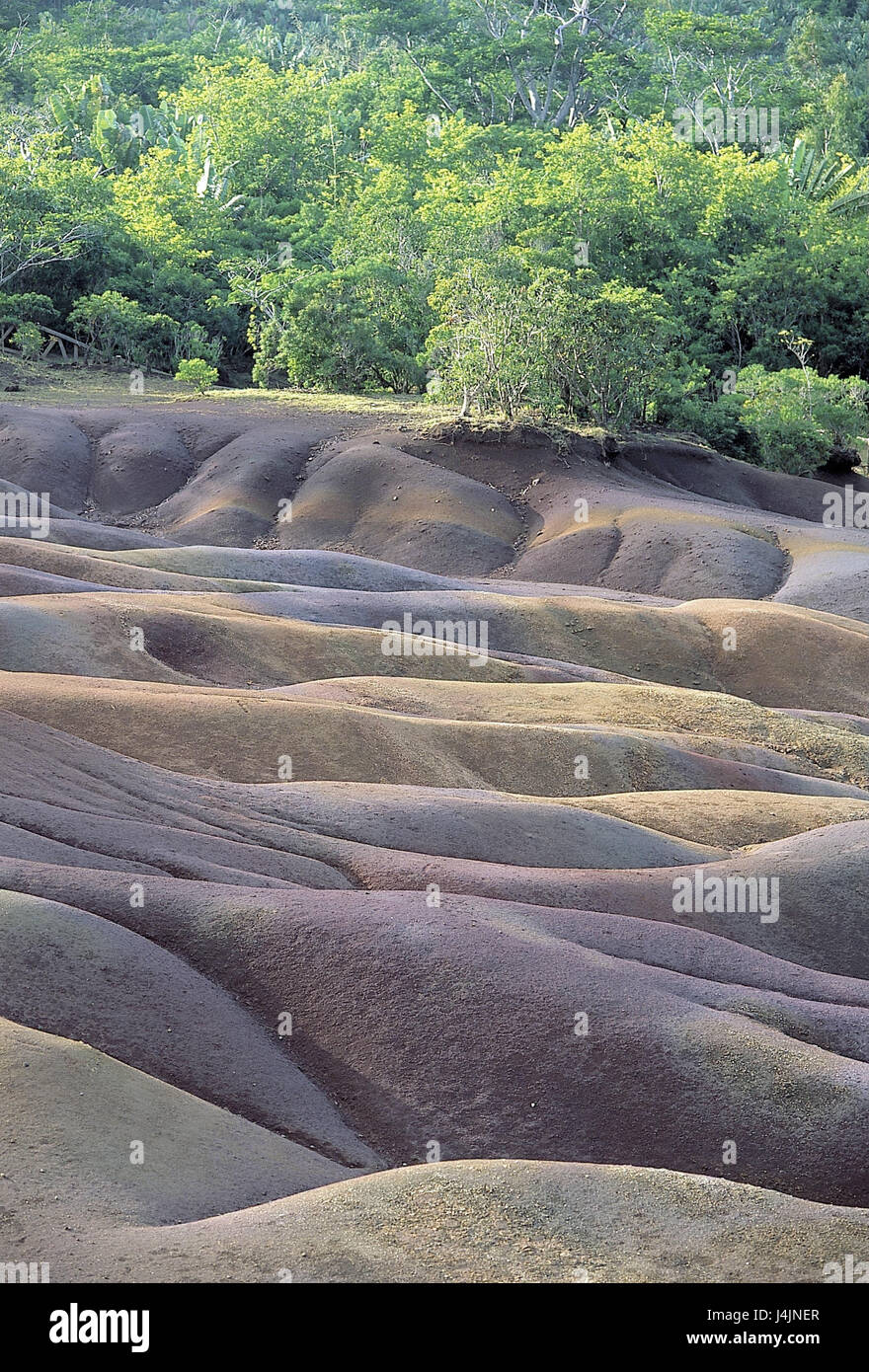 Maurizio, Chamarel, Terres del Couleurs, "colorato", legno tropicale oceano Indiano, isola, isola di Vulcano, isola di stato, Maskarenen, luogo di interesse, massa, colorfully Foto Stock