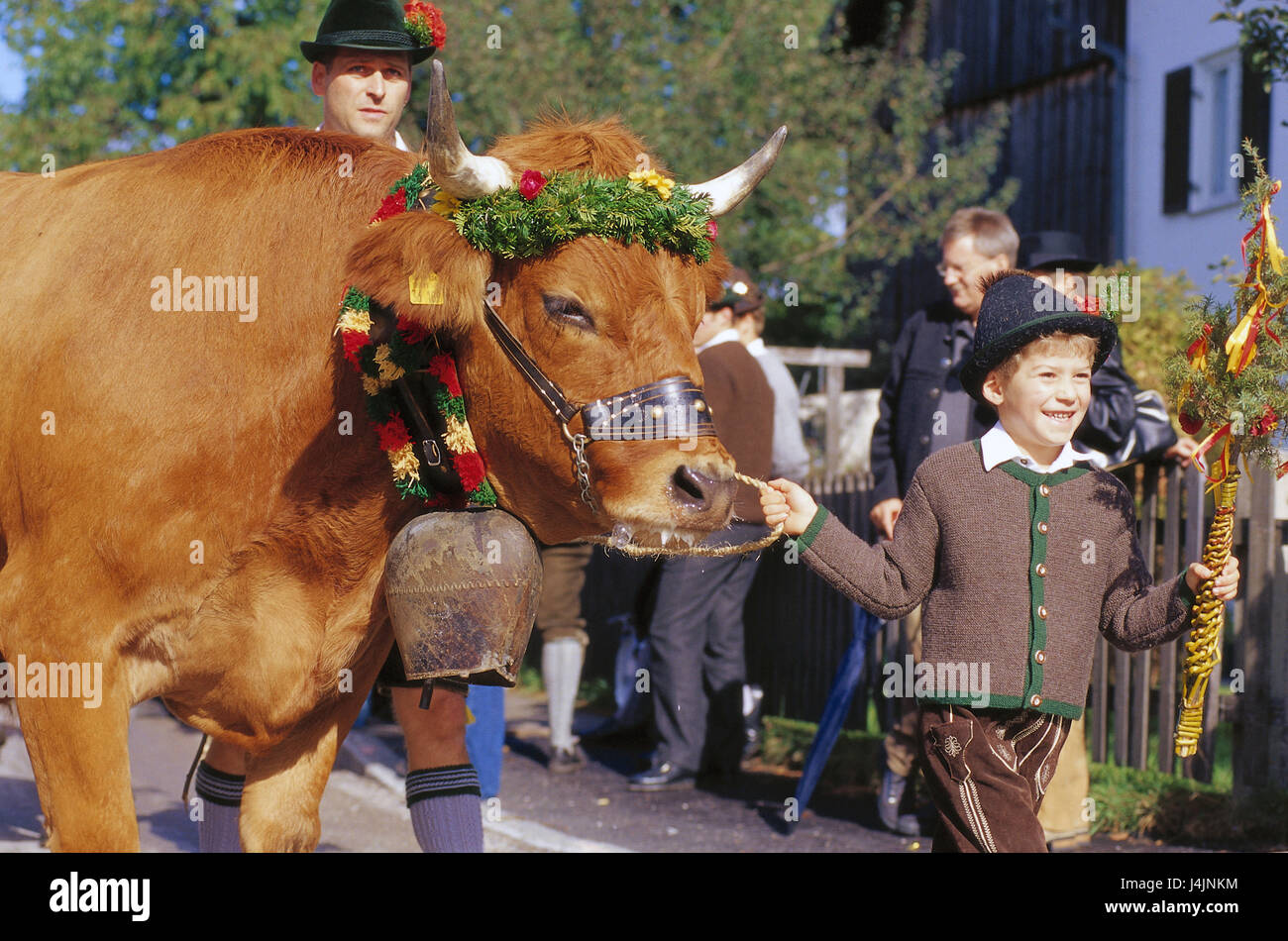 In Germania, in Baviera, Bichl, ox's ride, partecipante ox, processione nessun modello di rilascio Europa, Baviera, street, locali, uomo, bambino, costume nazionale, animale, la corteccia, mucca, decorata, decorazioni floreali, tradizioni, tradizione, divertimento, svago, attrazione, ox di gara, estate, Whitsun ox Foto Stock