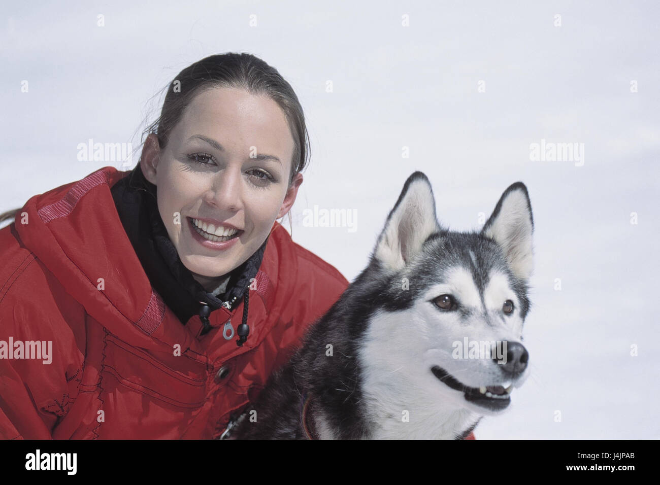 Donna, husky, ritratto all'interno, studio Frei della targa, animale, cane, pet, razza di cane, cane pedigree, sled dog, animale-amore, amicizia, confidando, fiducia, animale-amoroso Foto Stock