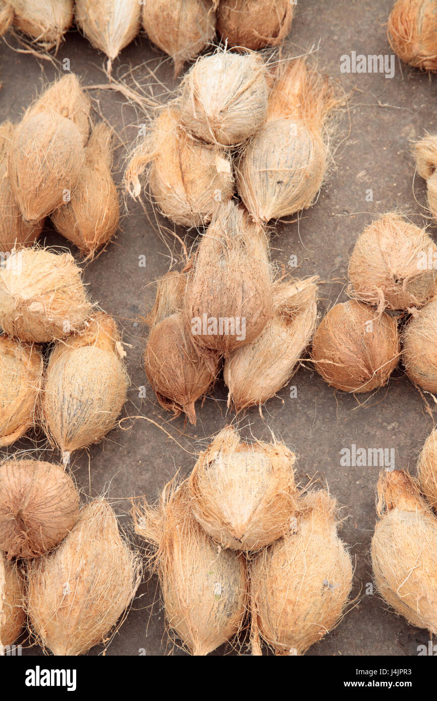 Noci di cocco per la vendita nel mercato, Stone Town, Zanzibar, Tanzania. Foto Stock