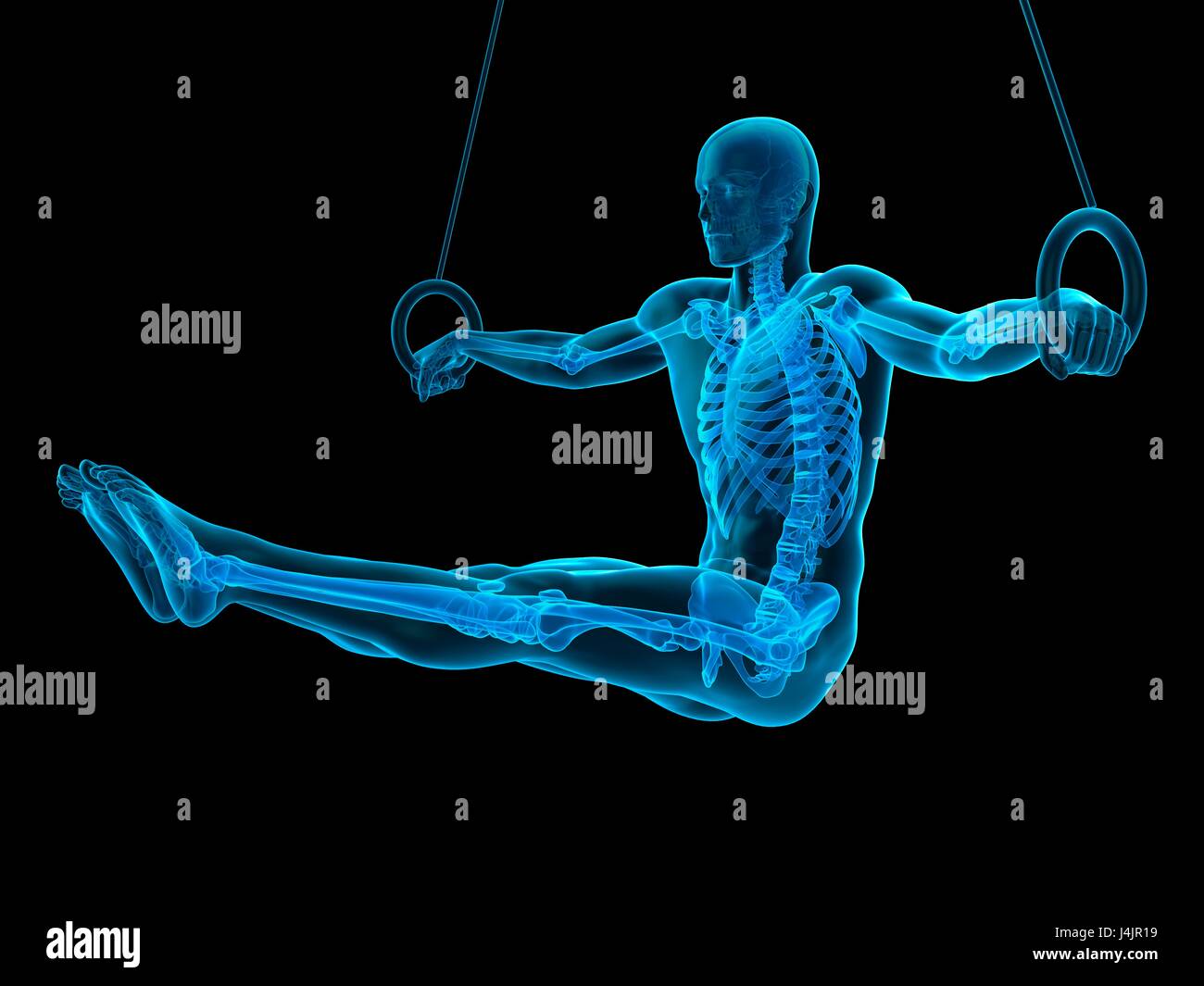 Struttura scheletrica di atleta utilizzando anelli di ginnastica, illustrazione. Foto Stock