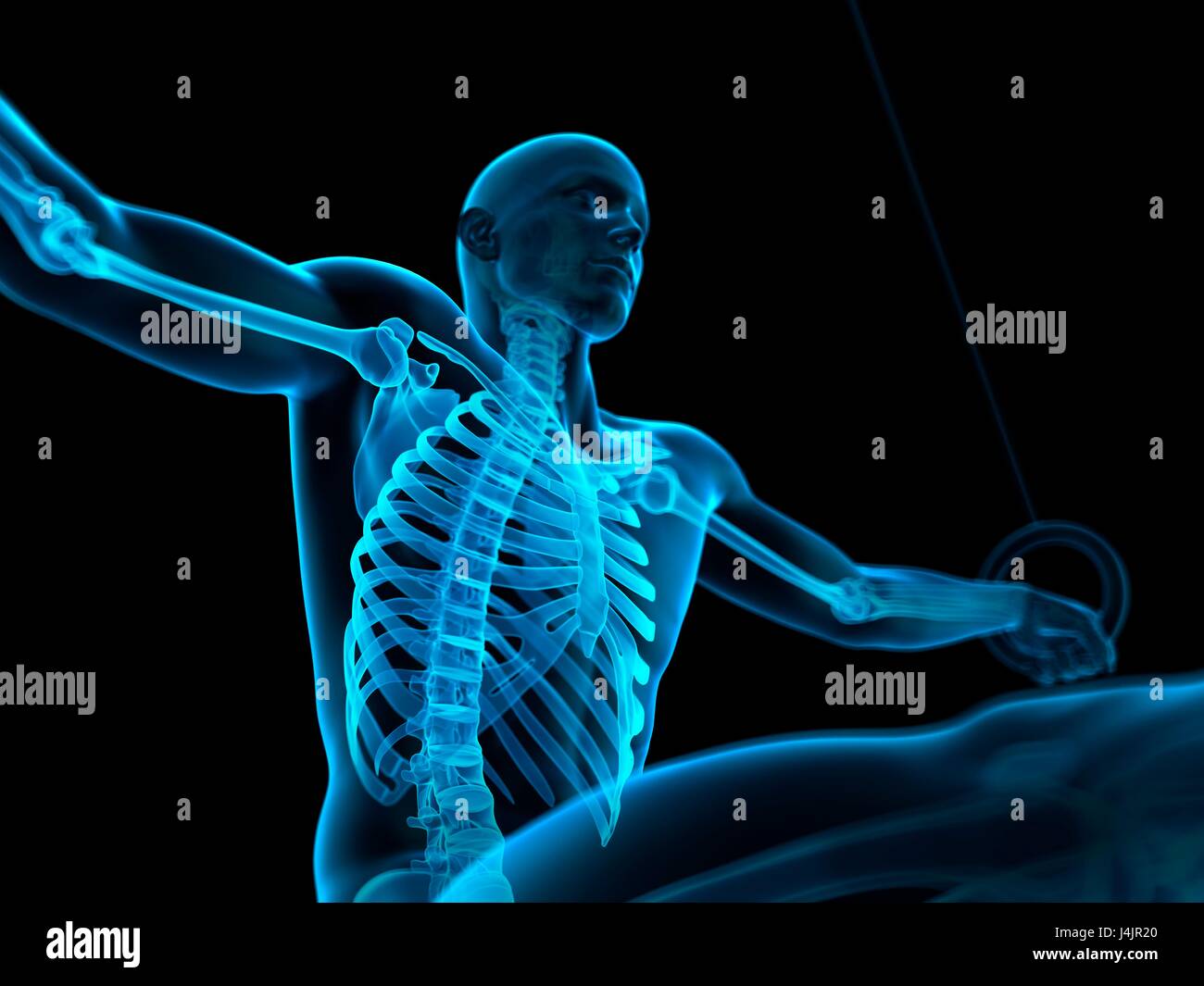 Struttura scheletrica di atleta utilizzando anelli di ginnastica, illustrazione. Foto Stock