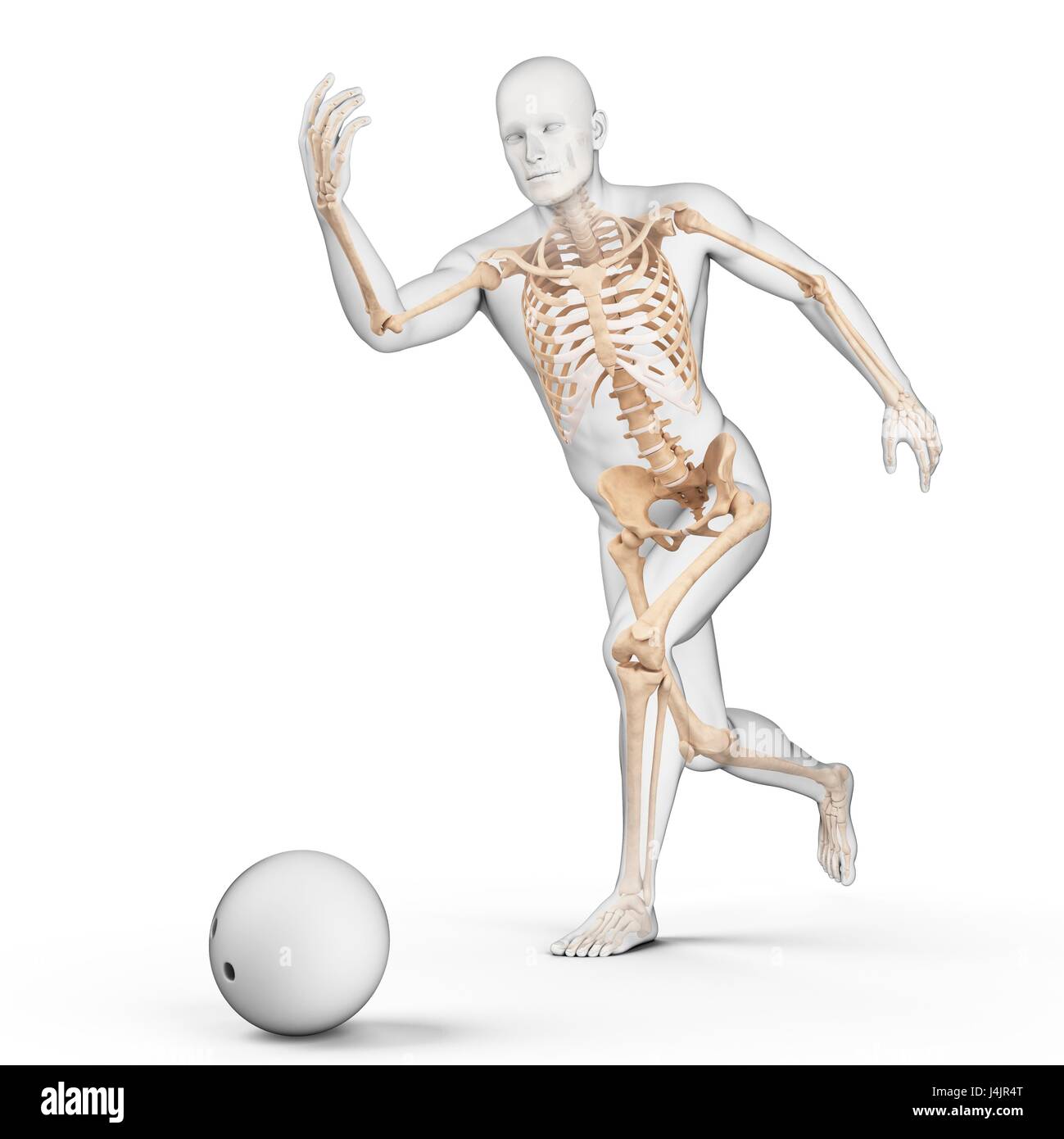 Struttura scheletrica di un giocatore di bocce, illustrazione. Foto Stock