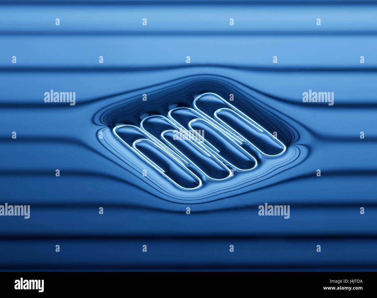 Quattro graffette galleggianti sulla superficie dell'acqua. Foto Stock