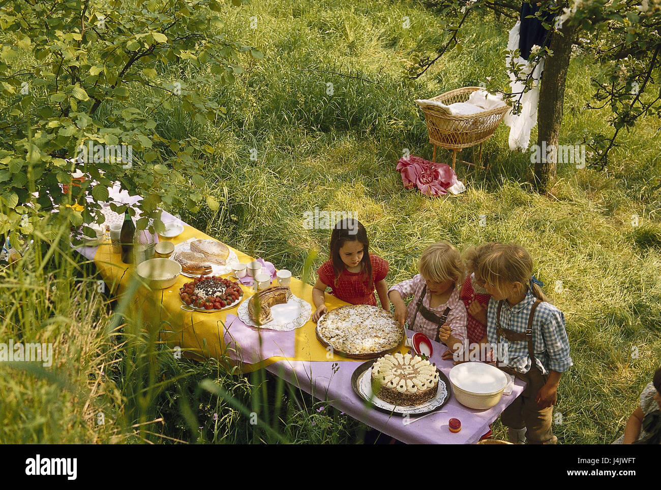 Giardino, bacheca, coperte, bambini, boy, torta, curl al di fuori, estate, prato, party in giardino, compleanno, gli amici, gli uni con gli altri, insieme, insieme, celebrare, festa di compleanno di bambini, Festa bambini, culla, torta, torta bacheca, torta bacheca, dal di sopra Foto Stock