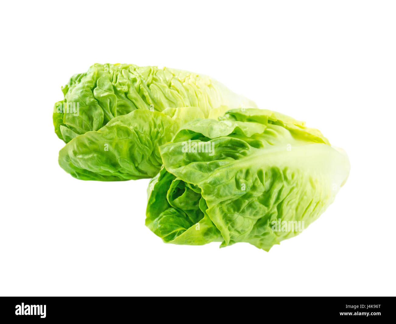 Due baby cos insalata di lattuga capi isolato su bianco Foto Stock
