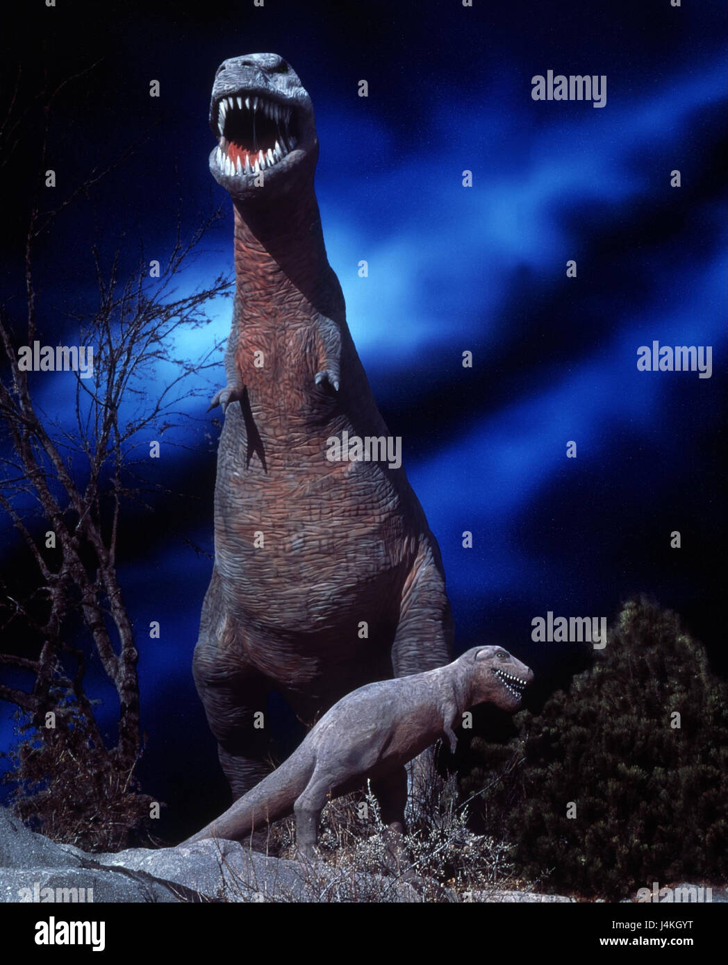 Lo scenario, dinosauro, notte [M] saurians, di notte, vecchi animali, Tyrannossaurus, predator, tempi primordiale, passato Foto Stock