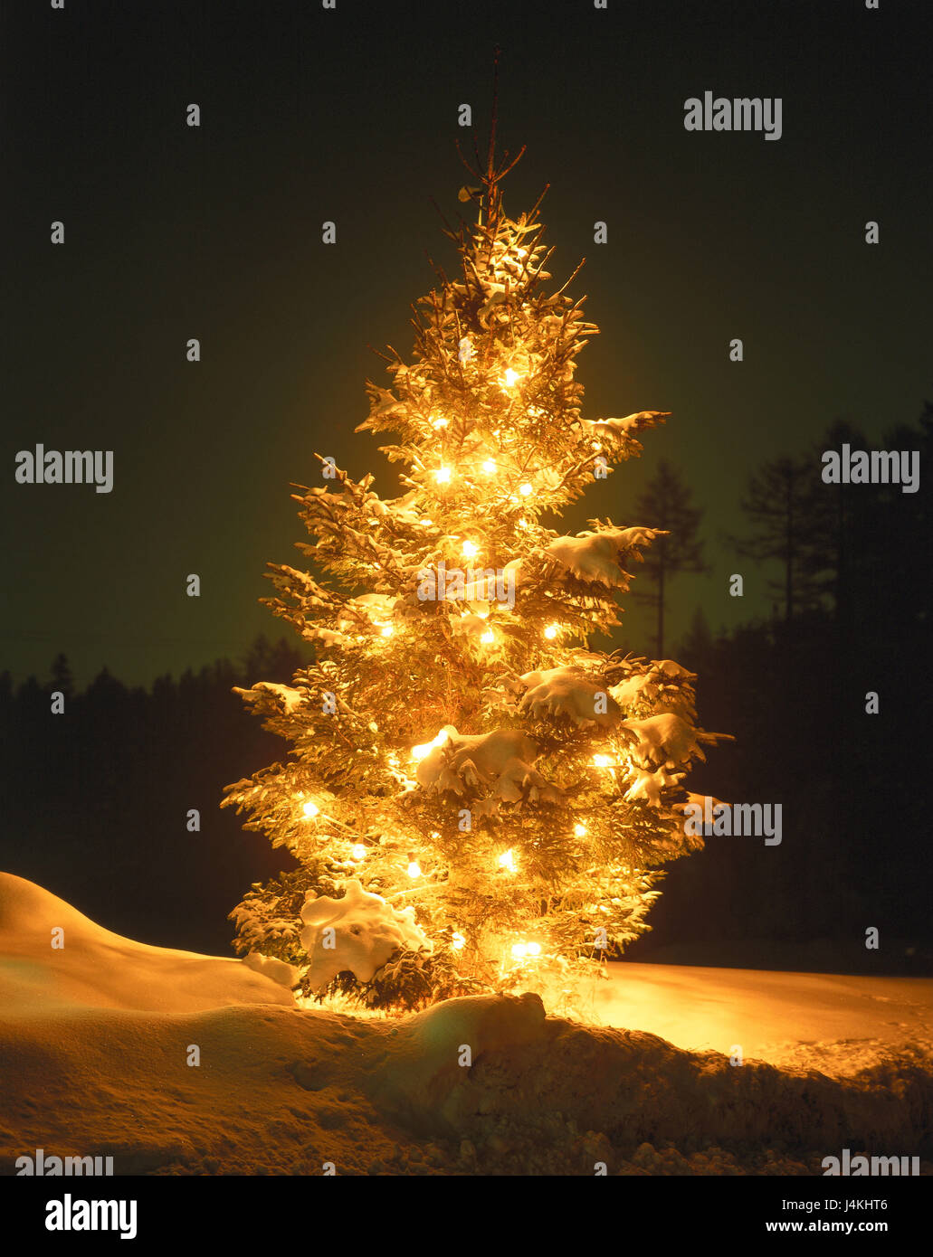 Immagini Natalizie Innevate.Albero Di Natale Illuminateds Fuori Neve Notte Albero Di Natale Christmas Tree Luci Candela Illuminato Rally Illuminazione Innevate Invernale Winter Freddo Tuning Natale Tuning Sera Oscurita Atmosferico Per Natale Yule Tide Periodo