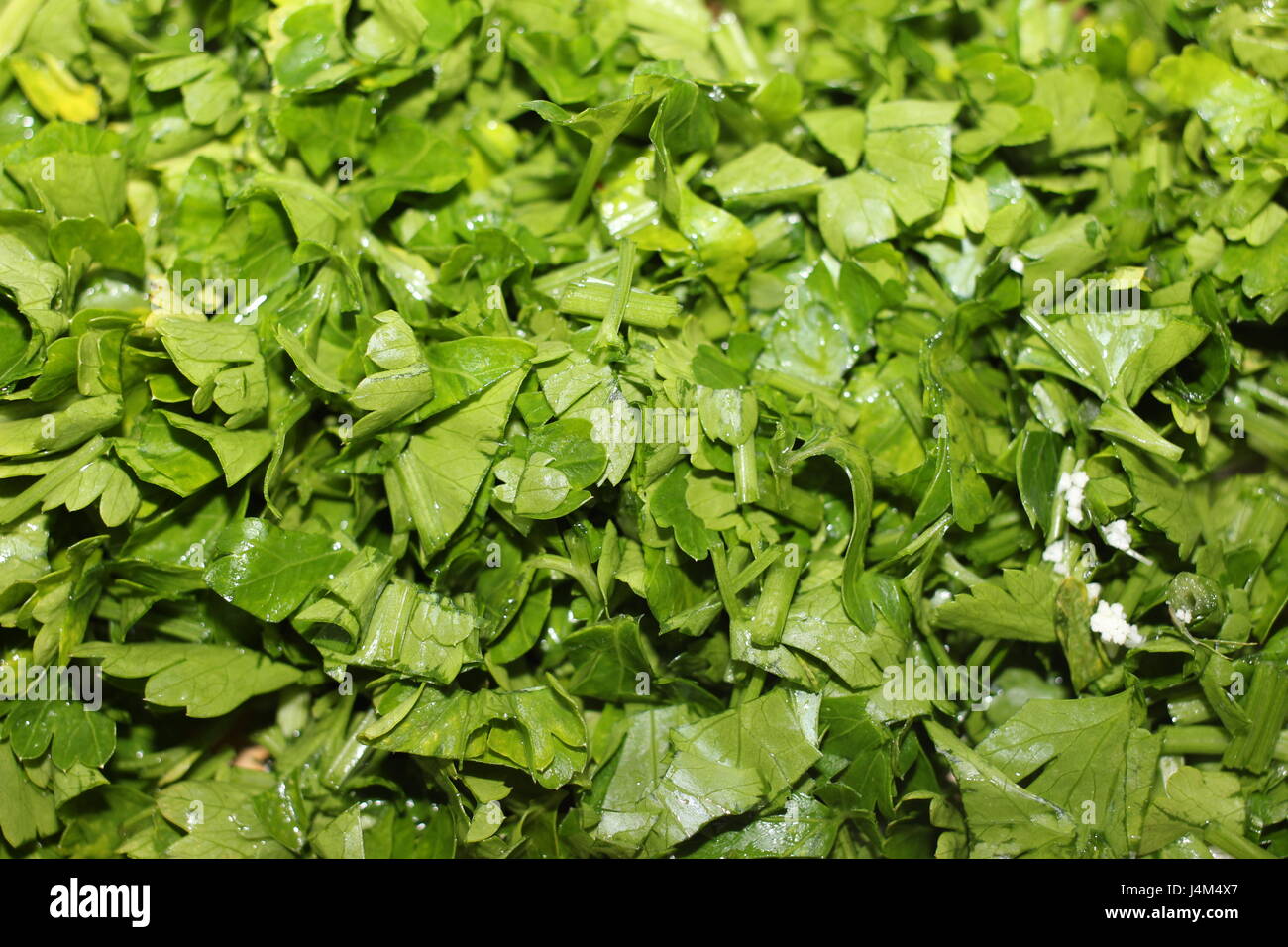 Tritate finemente fresco verde prezzemolo closeup sfondo Foto Stock